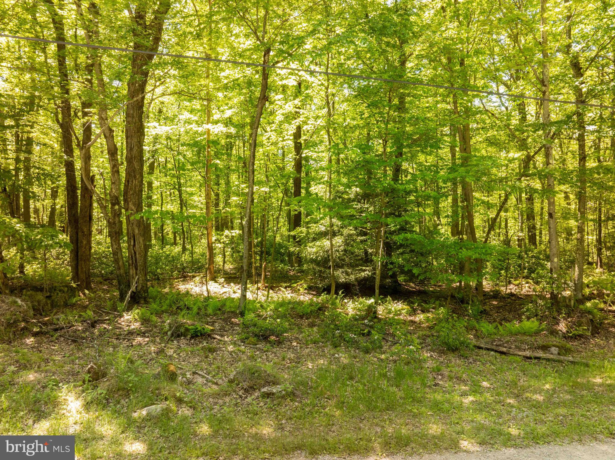 6 CEDAR LANE