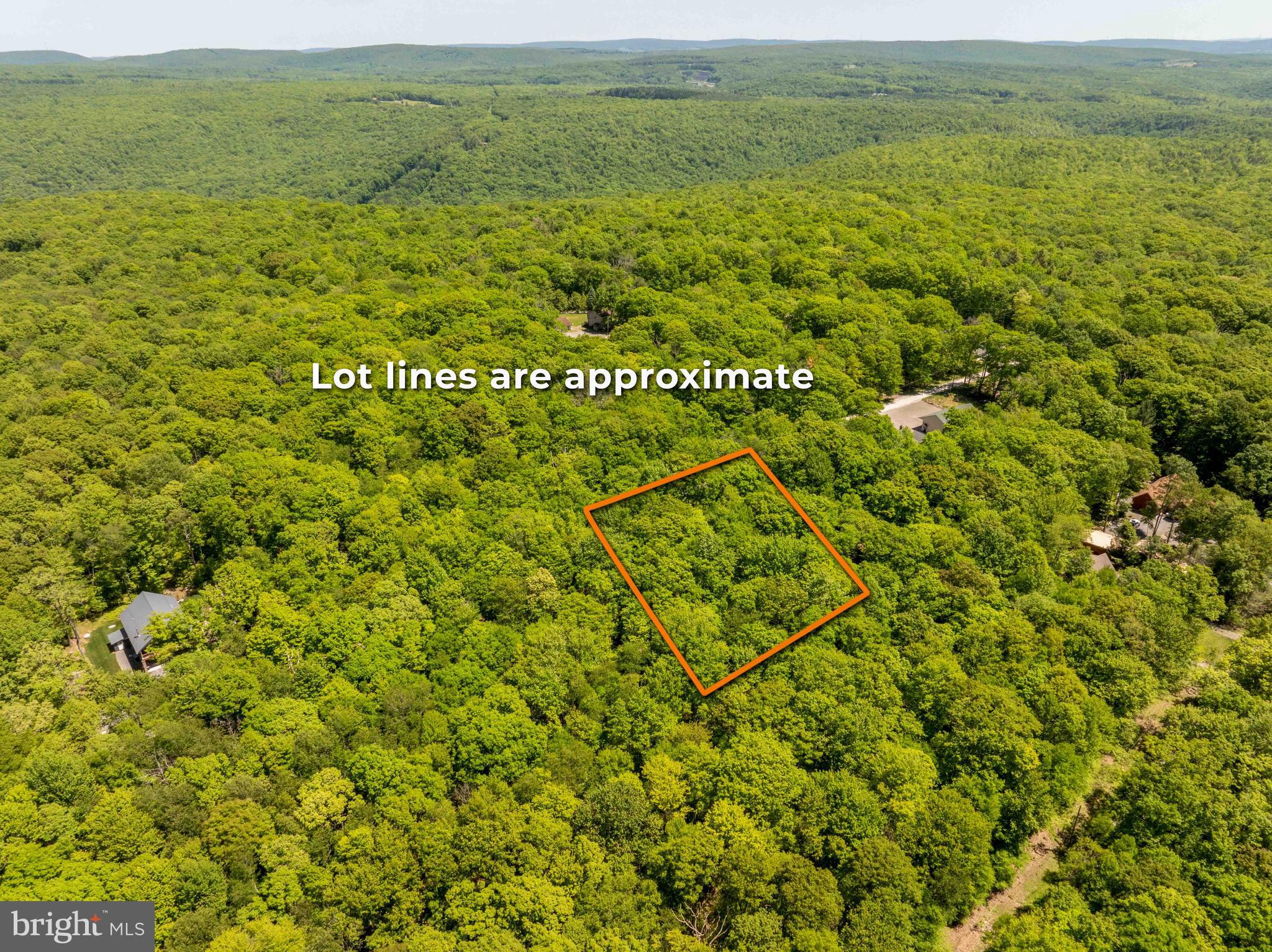 6 CEDAR LANE