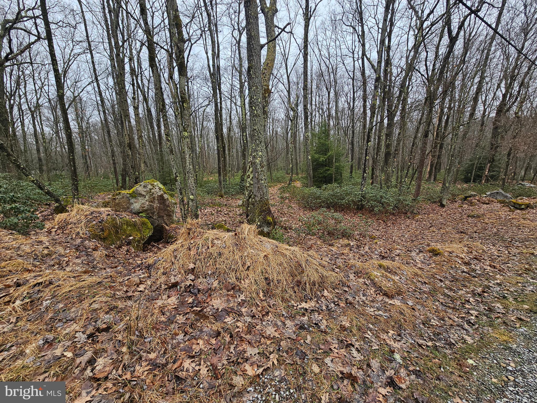 6 CEDAR LANE