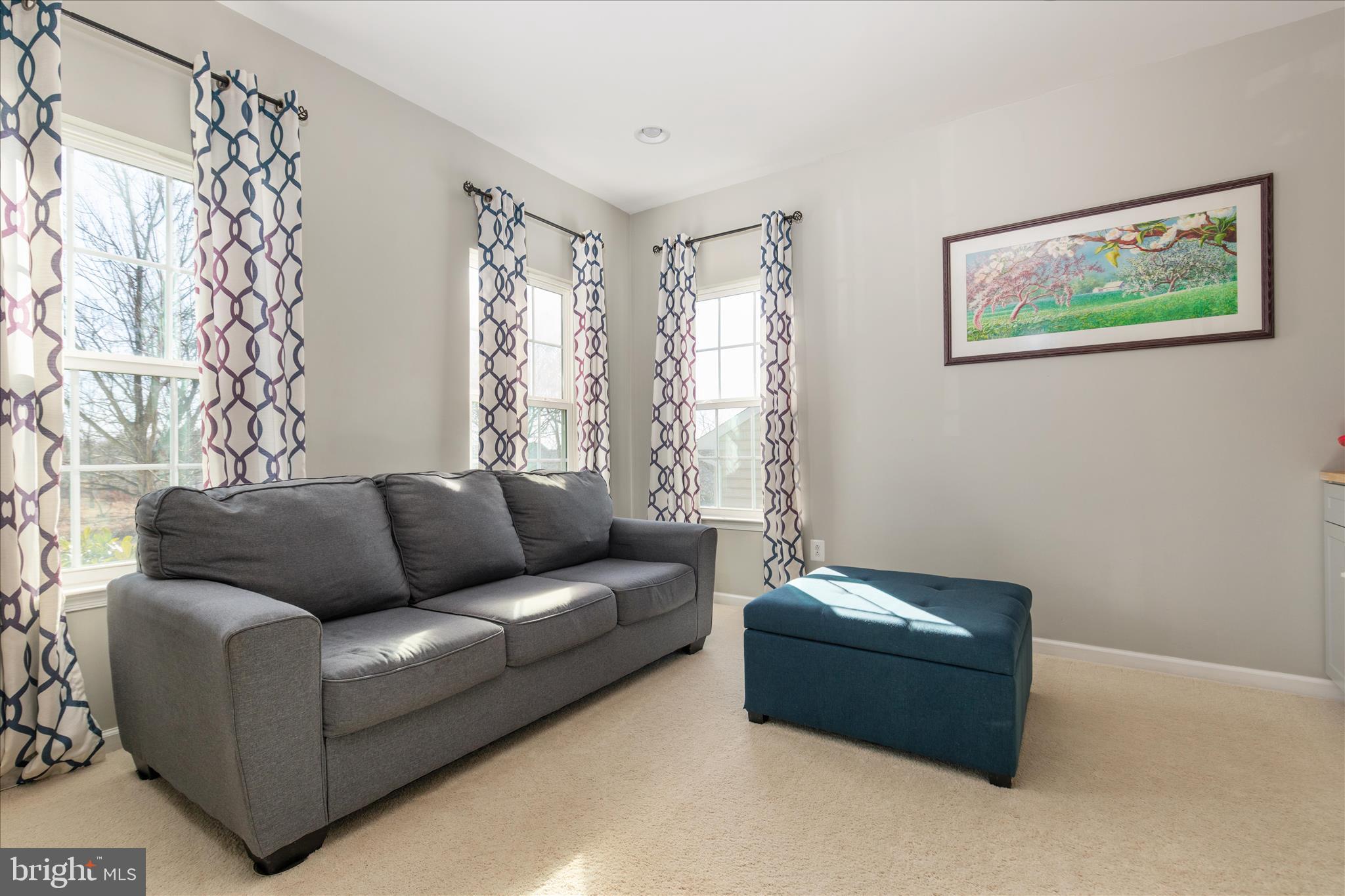 LOVETTSVILLE TOWN CENTER - Residential