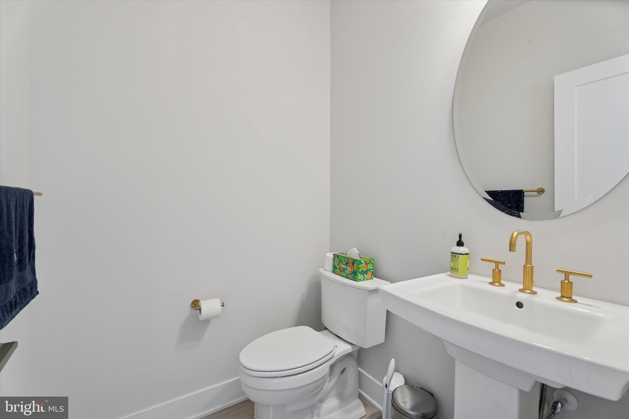 OVERLOOK AT TOWN CENTER - Residential