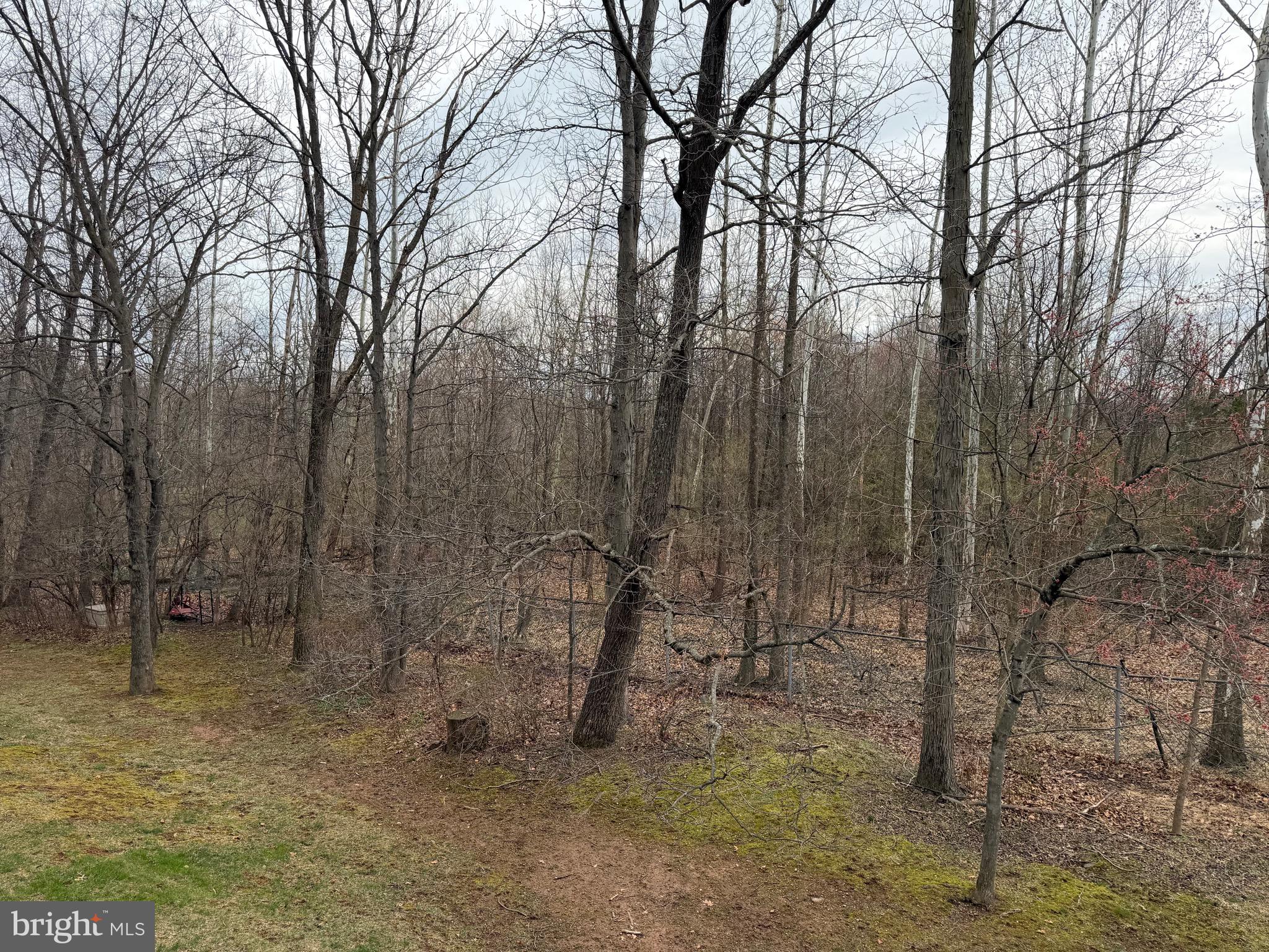 LINDENFIELD - Residential