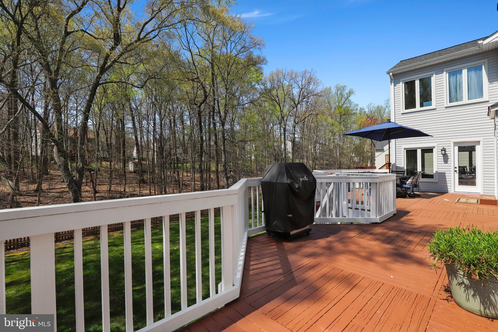 CARDINAL FOREST - Residential