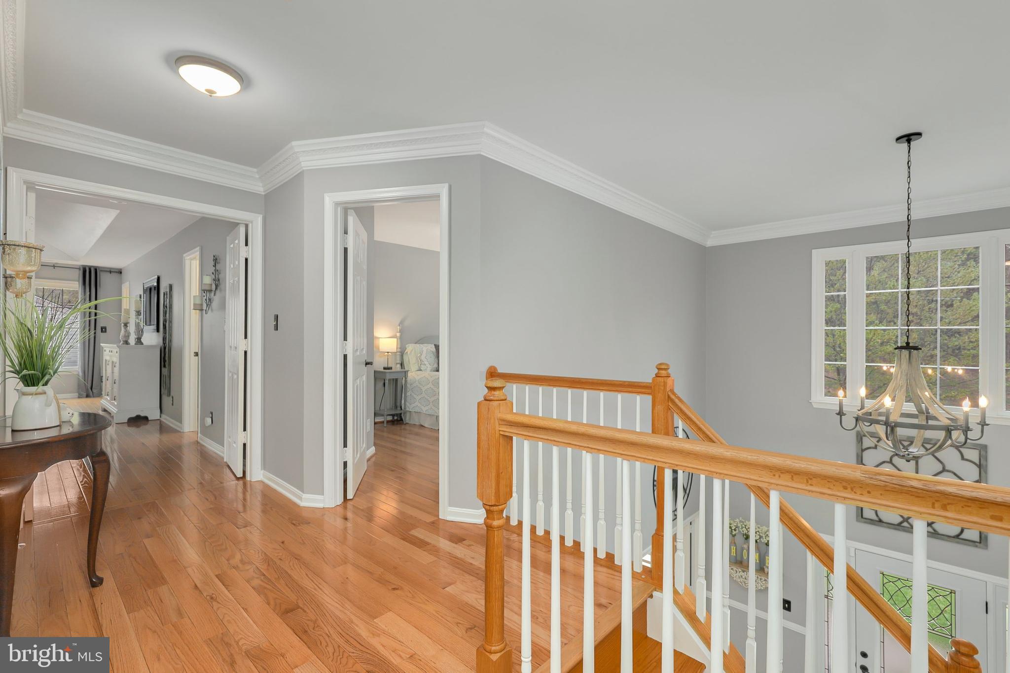 CARDINAL FOREST - Residential