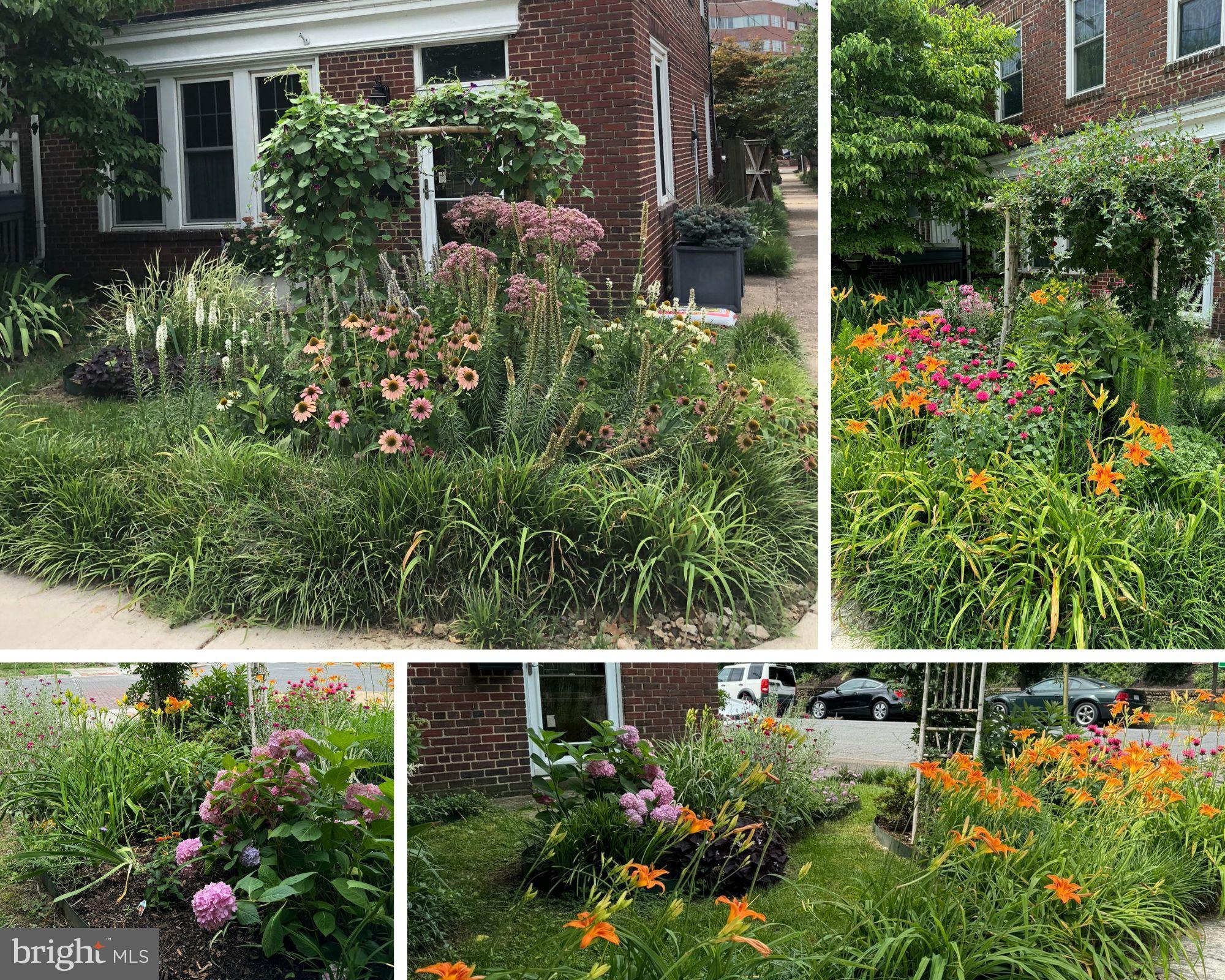 OLD TOWN - Residential