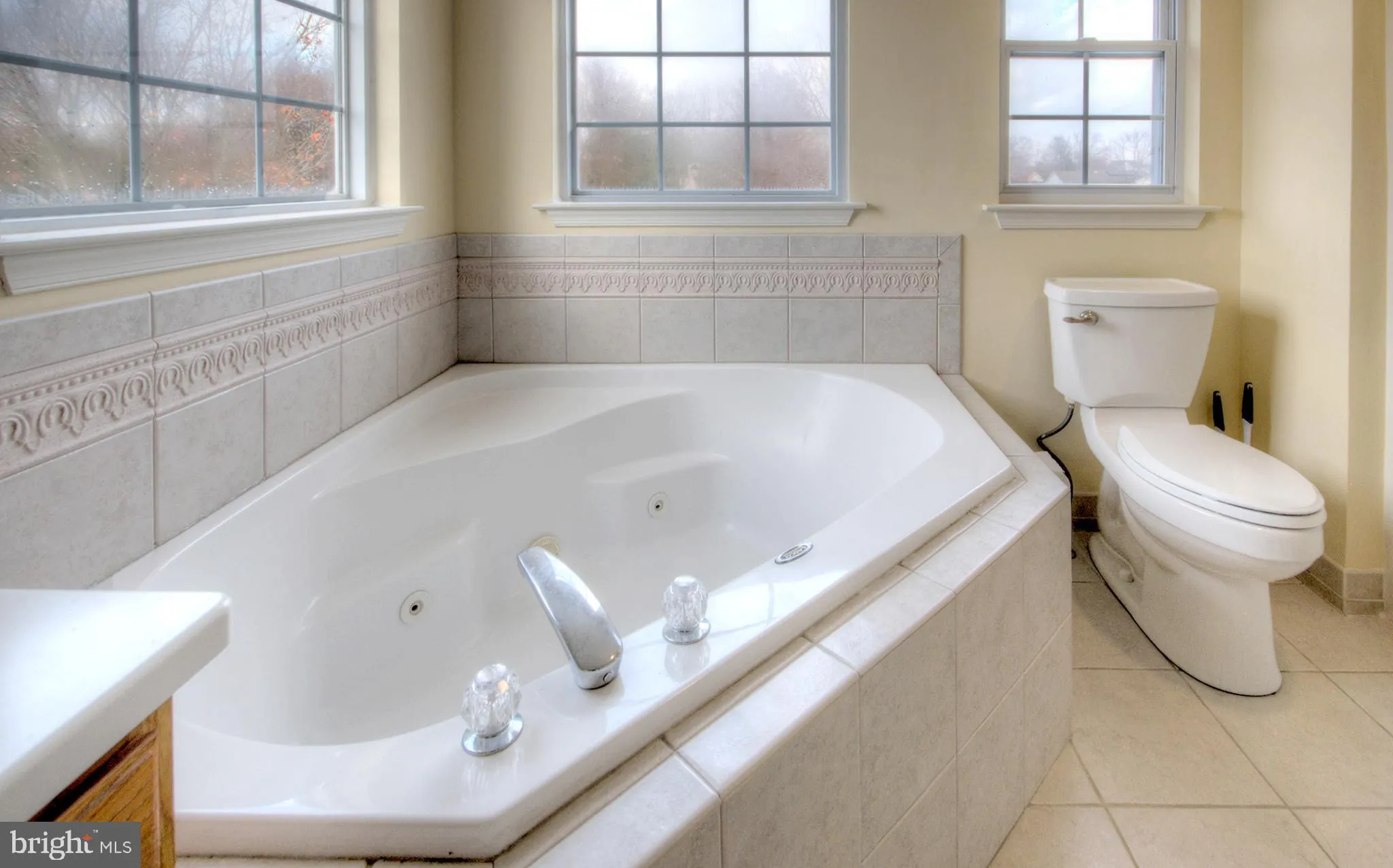 Minotola, New Jersey 08341, United States, 3 Bedrooms Bedrooms, ,3 BathroomsBathrooms,Residential,Active,30387