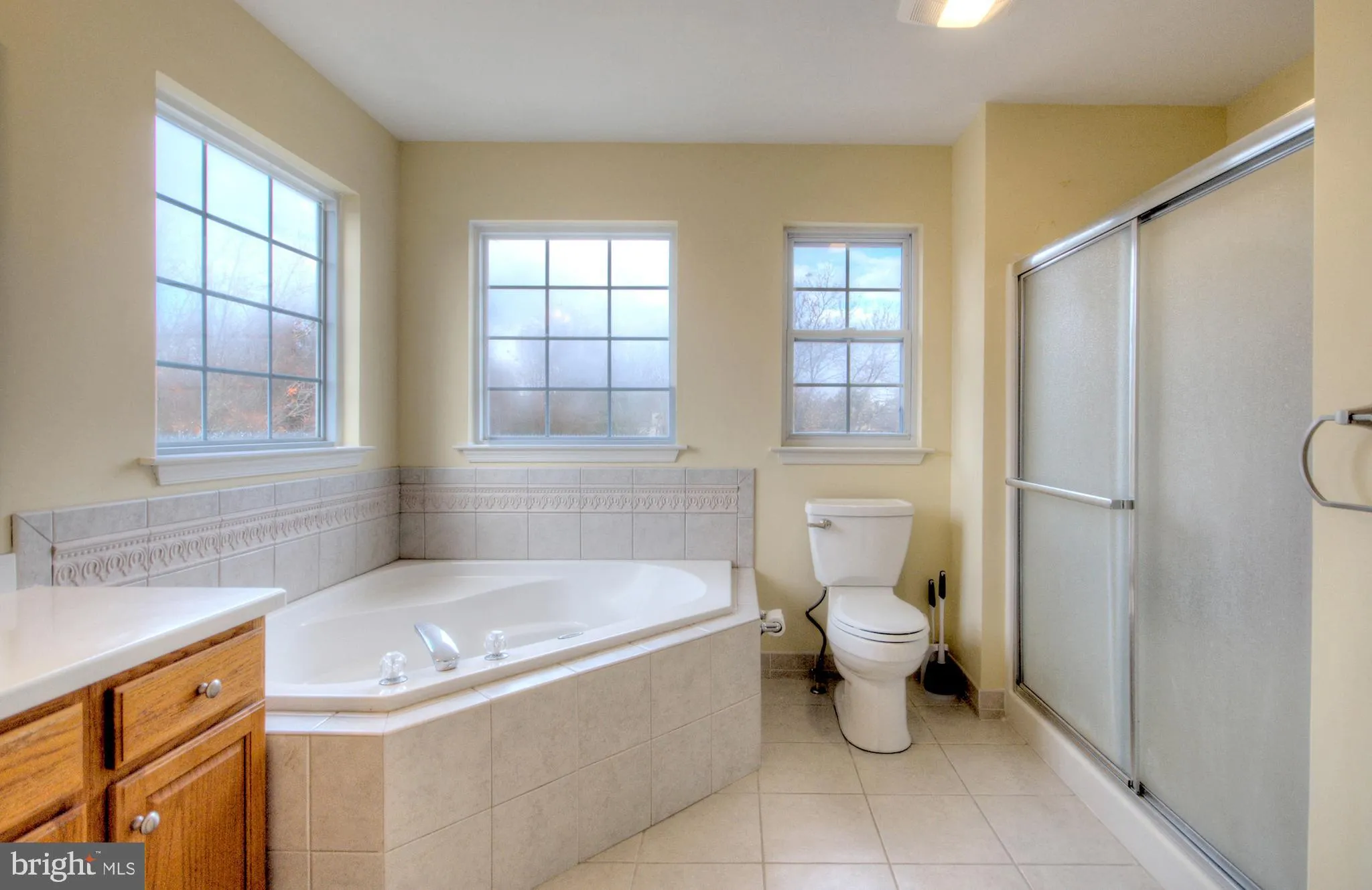 Minotola, New Jersey 08341, United States, 3 Bedrooms Bedrooms, ,3 BathroomsBathrooms,Residential,Active,30387