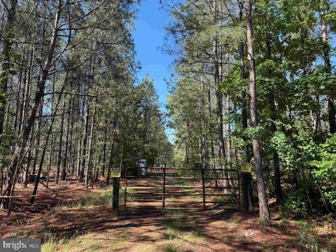 Vacant Land For Sale - Laurel Drive (tract: Surry Seward-scott)<br/> Surry County, SURRY, VA 23883