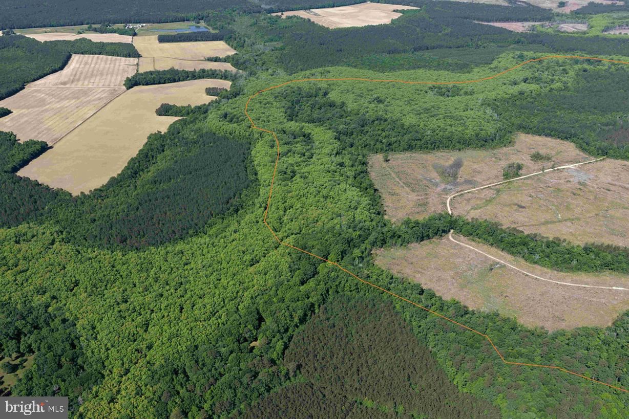 LAUREL DRIVE (TRACT: SURRY SEWARD-SCOTT)
