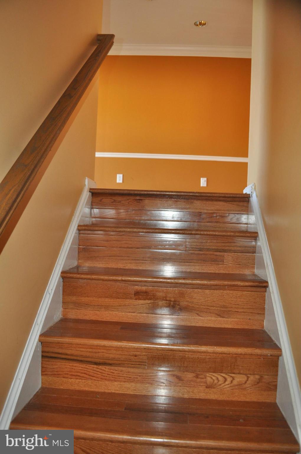 CAROLYN FOREST - Residential