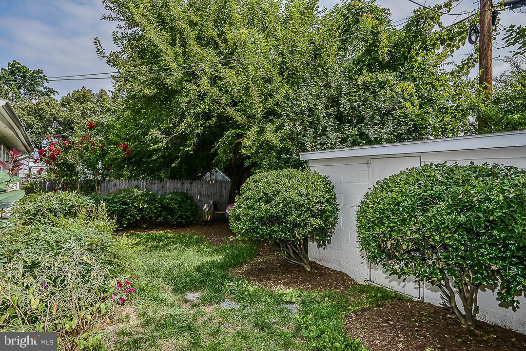 DOUGLAS PARK - Residential Lease