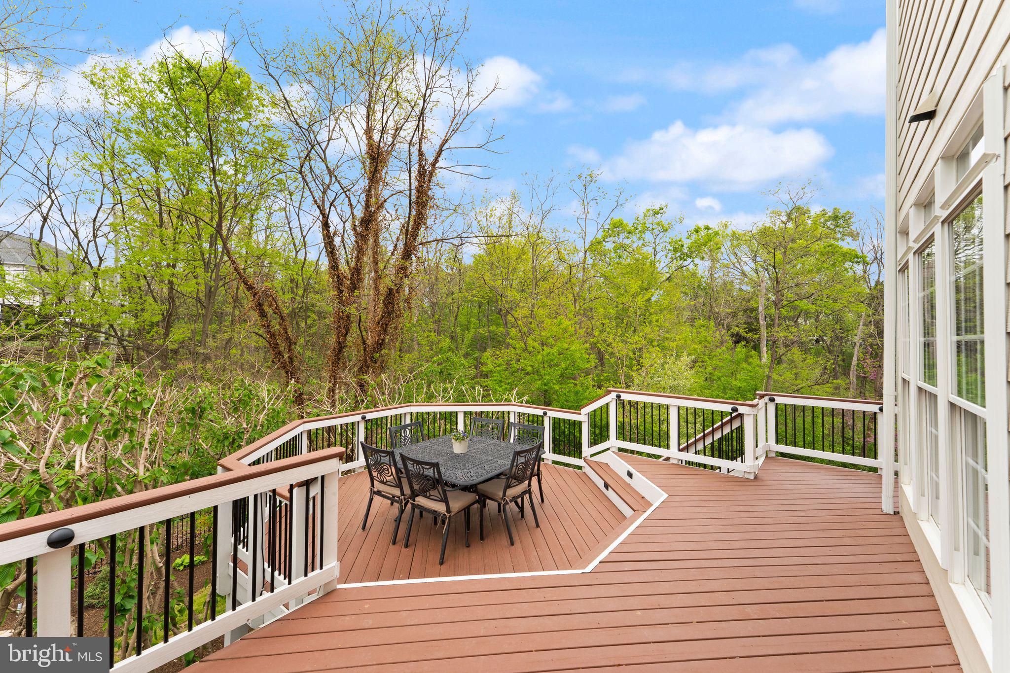 43482 SQUIRREL RIDGE PLACE