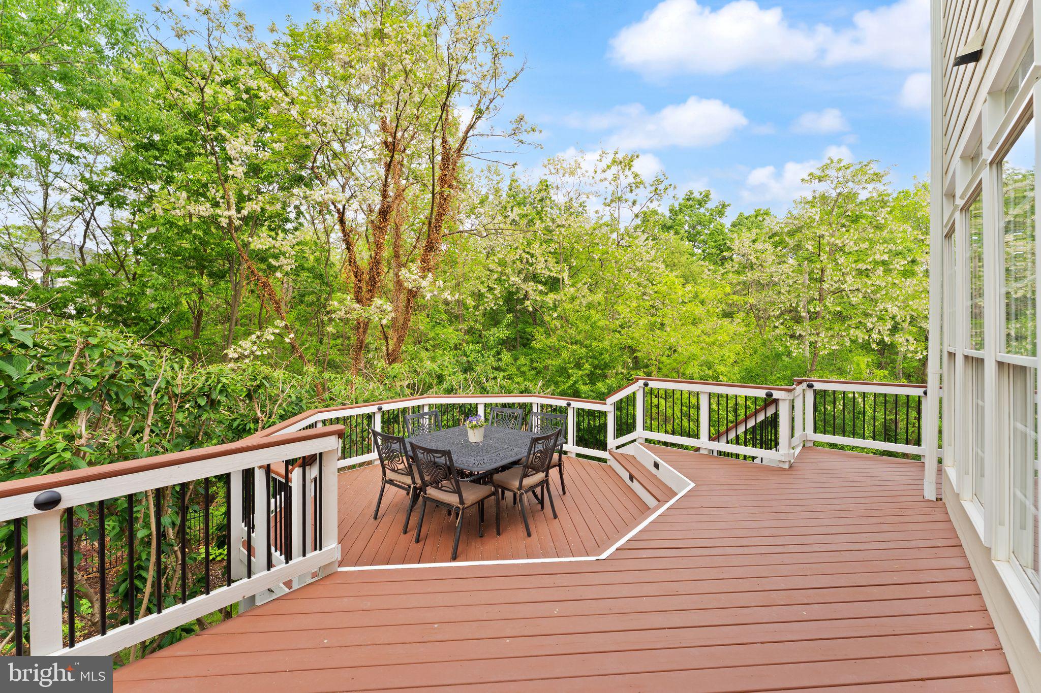 43482 SQUIRREL RIDGE PLACE