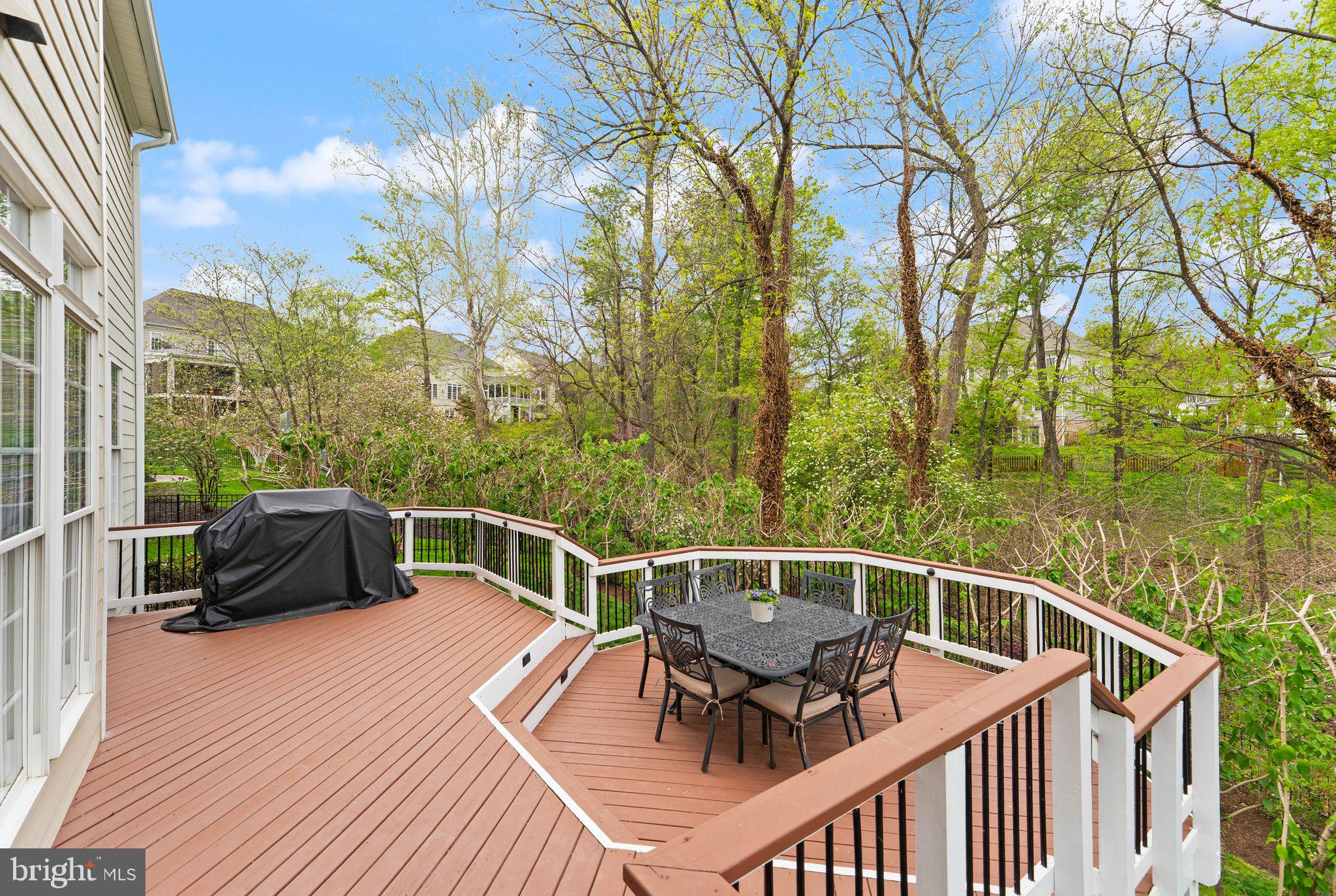 43482 SQUIRREL RIDGE PLACE