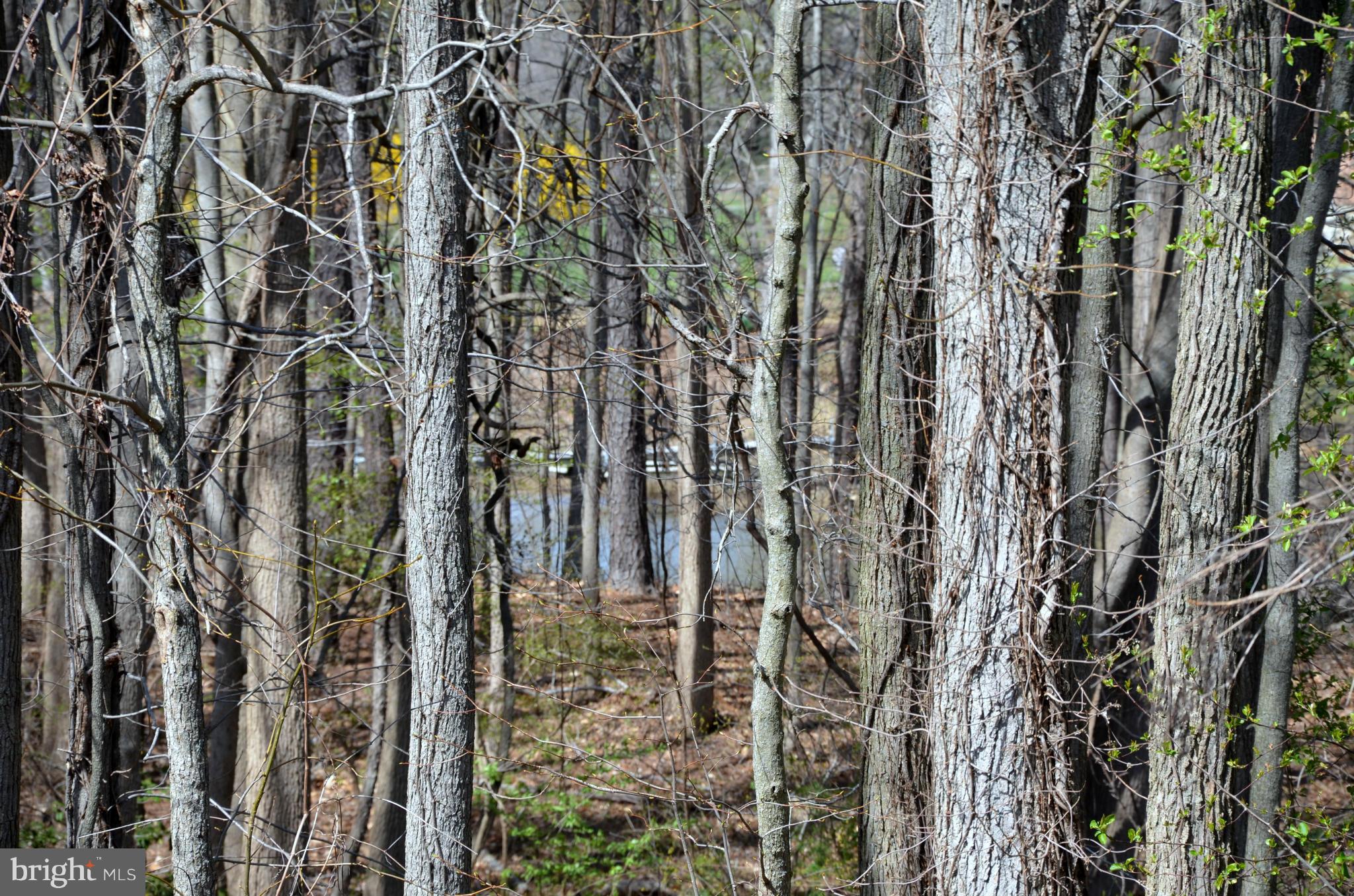 RECOVERY - Residential