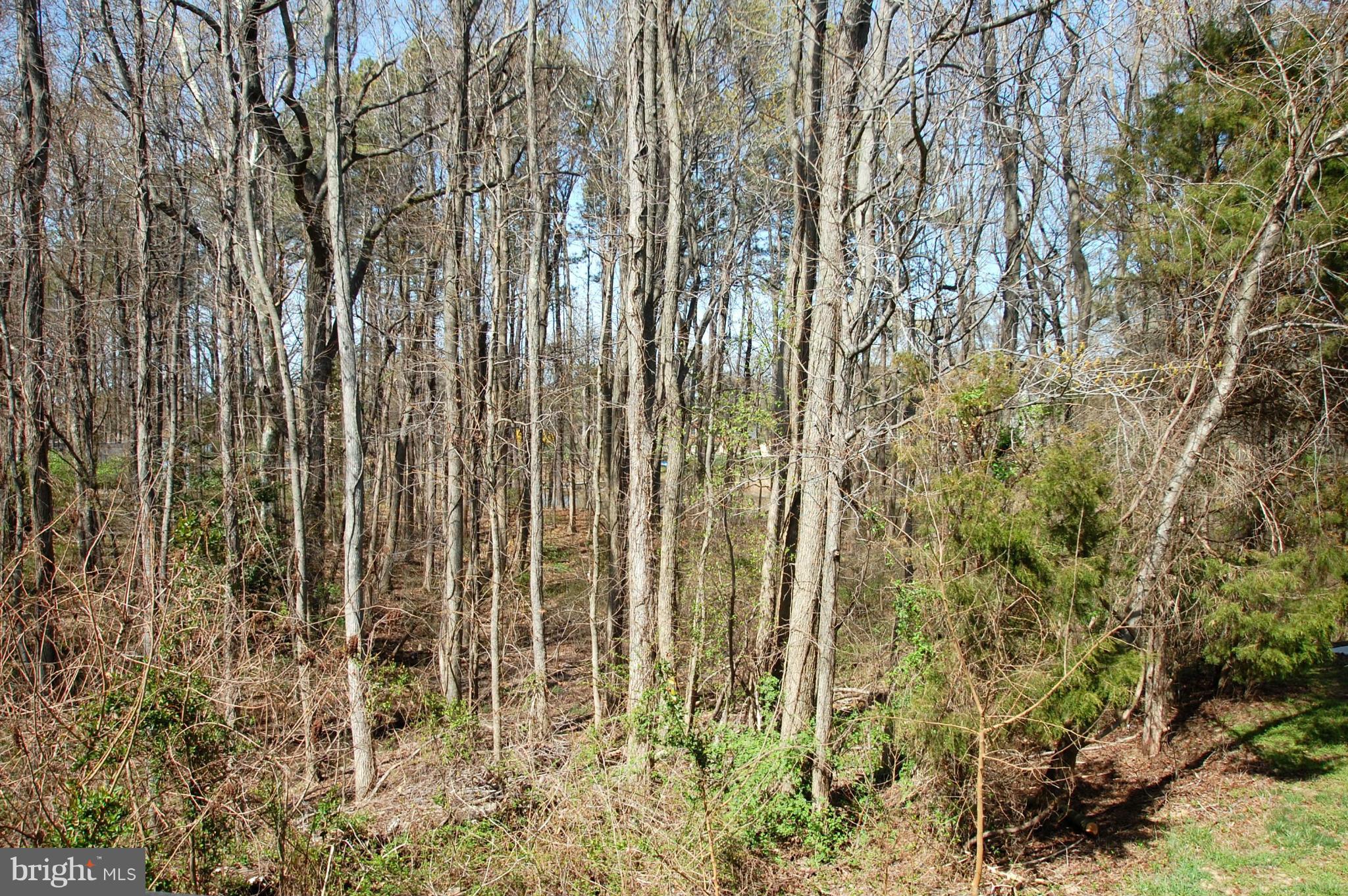 RECOVERY - Residential