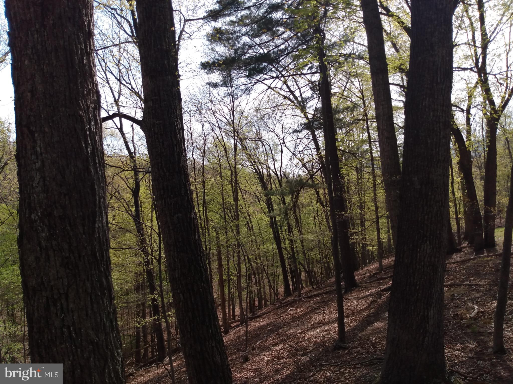 COLONIAL VILLAGE - Land