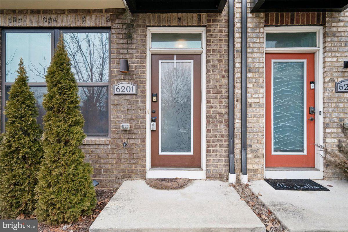 6201 CHRONICLE STREET