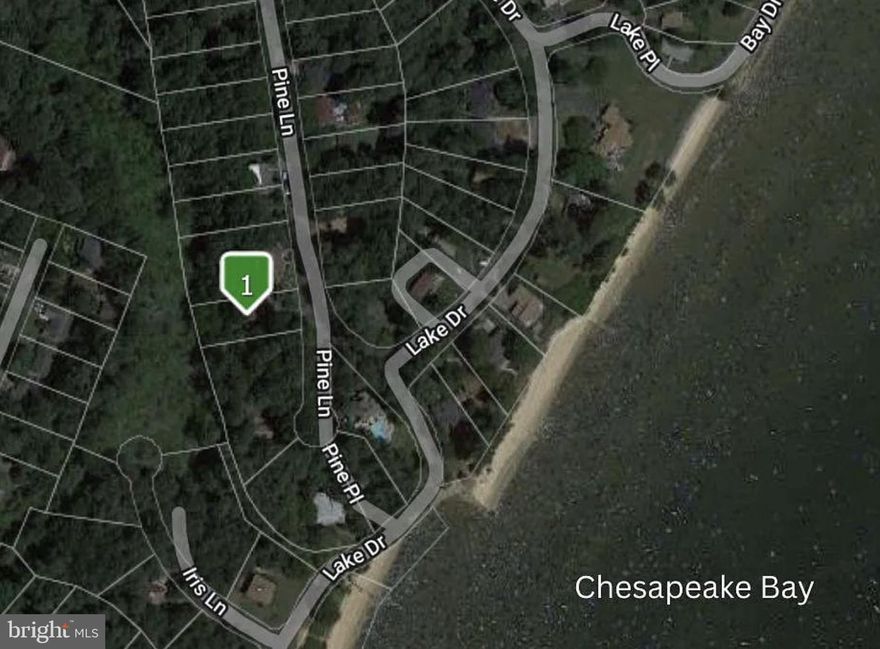 Recently approved  PERCED lot is now ready for you to build your dream home.  The lot is nestled at the end the street approximately 2 blocks from the Chesapeake Bay in the Drum Point Community.  If you are looking for a peaceful space with surrounding trees this is the spot for you.  The  Drum Point Community offers beach access to the Chesapeake Bay and a boat ramp on Mill Creek to homeowner  association members.