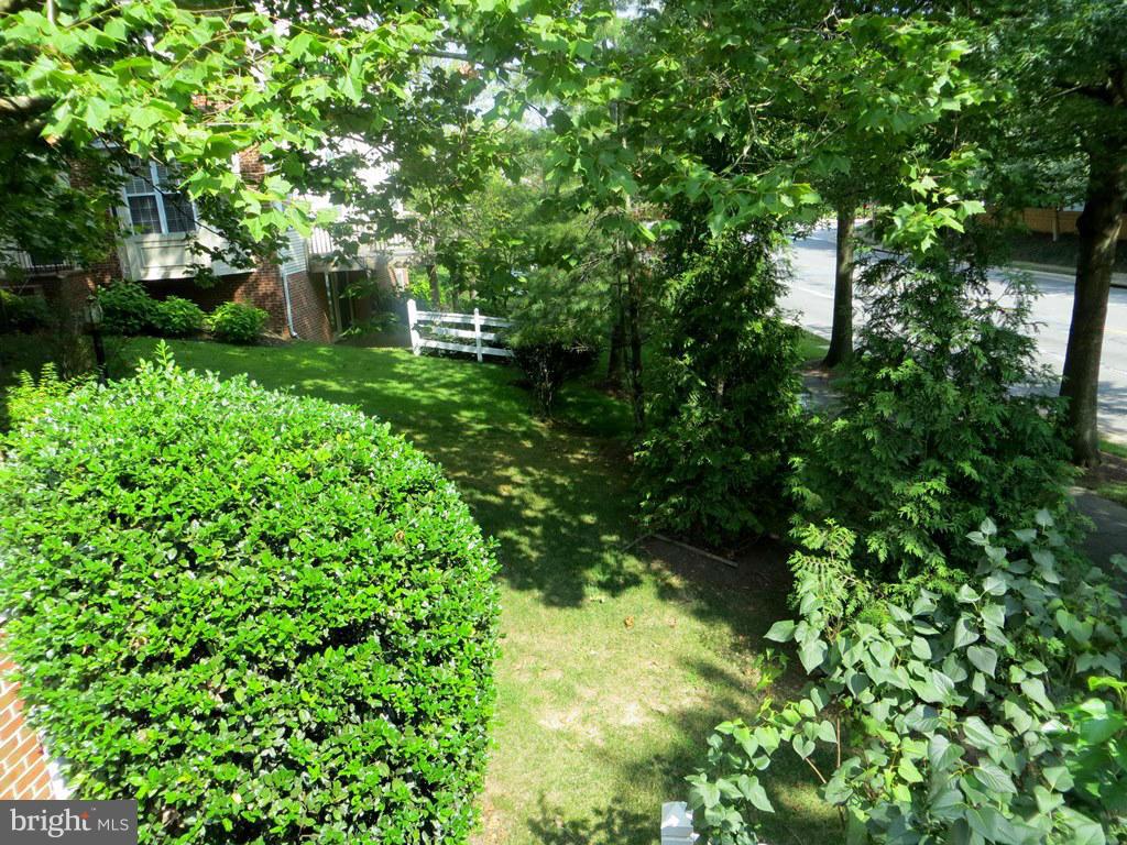 KINGSTOWNE - Residential Lease