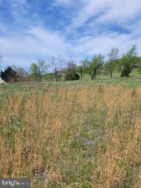 Vacant Land For Sale - 231 Stoney Apple Drive<br/> Hampshire County, ROMNEY, WV 26757