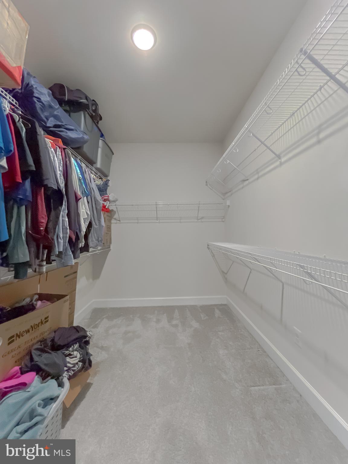 MAGNOLIA PARK AT WILDEWOOD - Residential