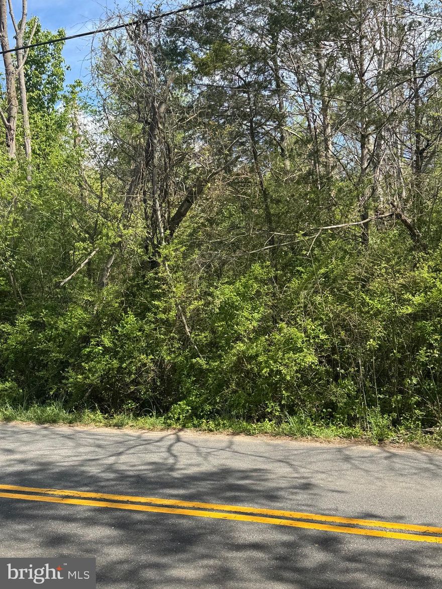 THIS PROPERTY IS IN THE REMINGTON SERVICE DISTRICT. CURRENTLY ZONED R-4.  1/4 ACRE PER LOT IF SUBDIVIDED. THE DOCUMENT IN THE DOCUMENT SECTION SHOWS A PRELIMINARY SUGGESTIVE LAYOUT FOR SUBDIVISION. PUBLIC WATER AND SEWER ARE AVAILABLE IN THE SERVICE DISTRICT. THE OWNER OF 370 N. DUEY IS WORKING TO REMOVE APPROXIMATELY 1/4 ACRE WITH THE HOUSE FROM THE LOT.