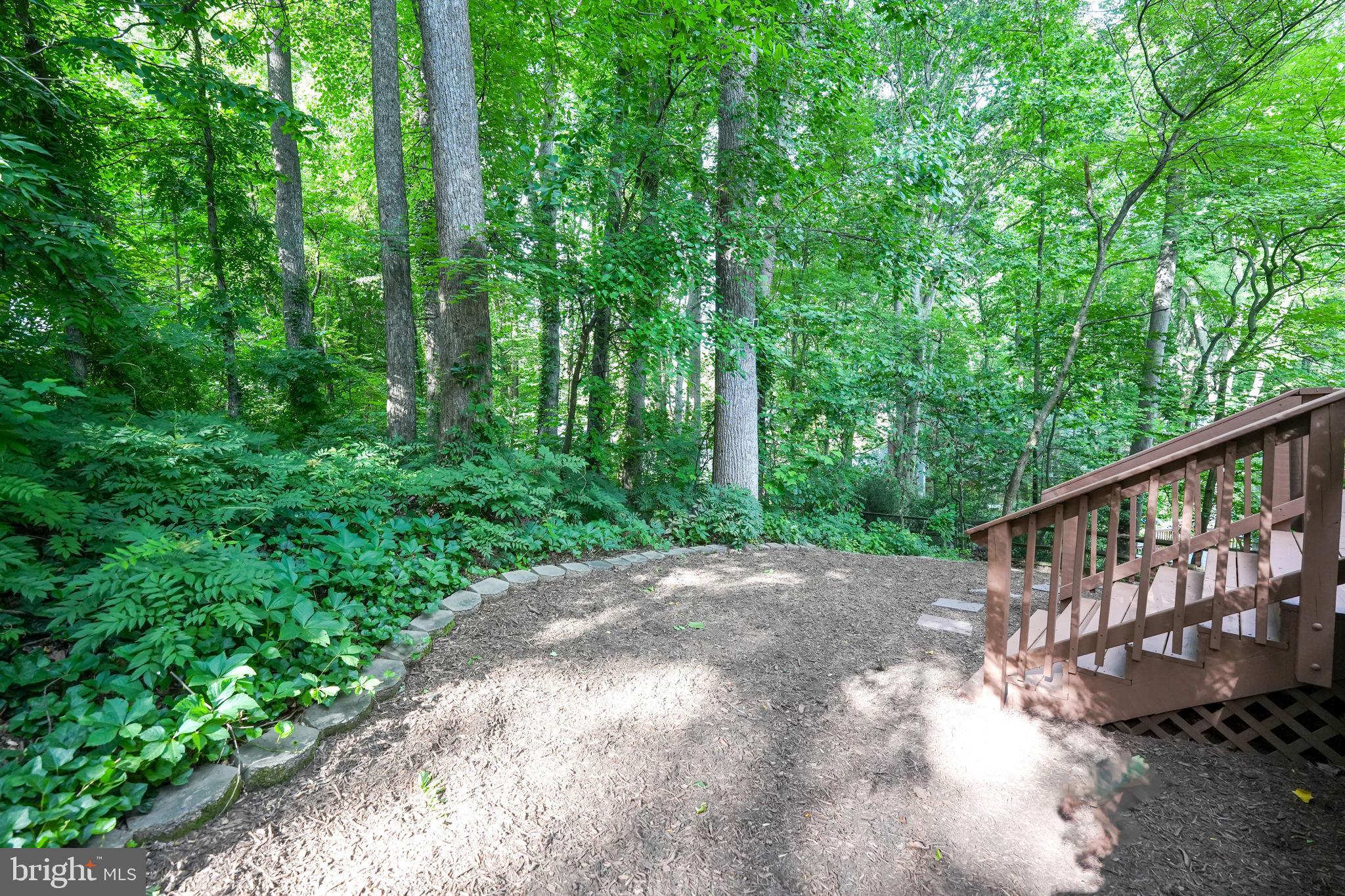 COUNTRY CLUB/LAKE MONTCLAIR - Residential