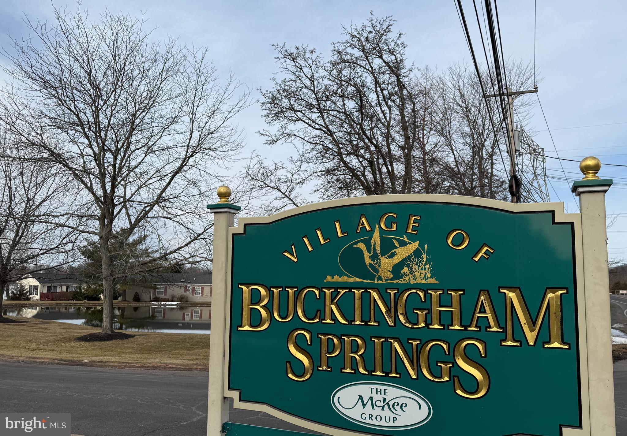 BUCKINGHAM SPRINGS - Residential