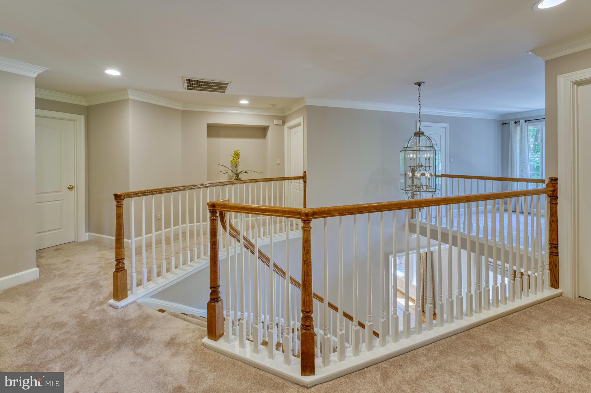 ONE CAMERON PLACE - Residential