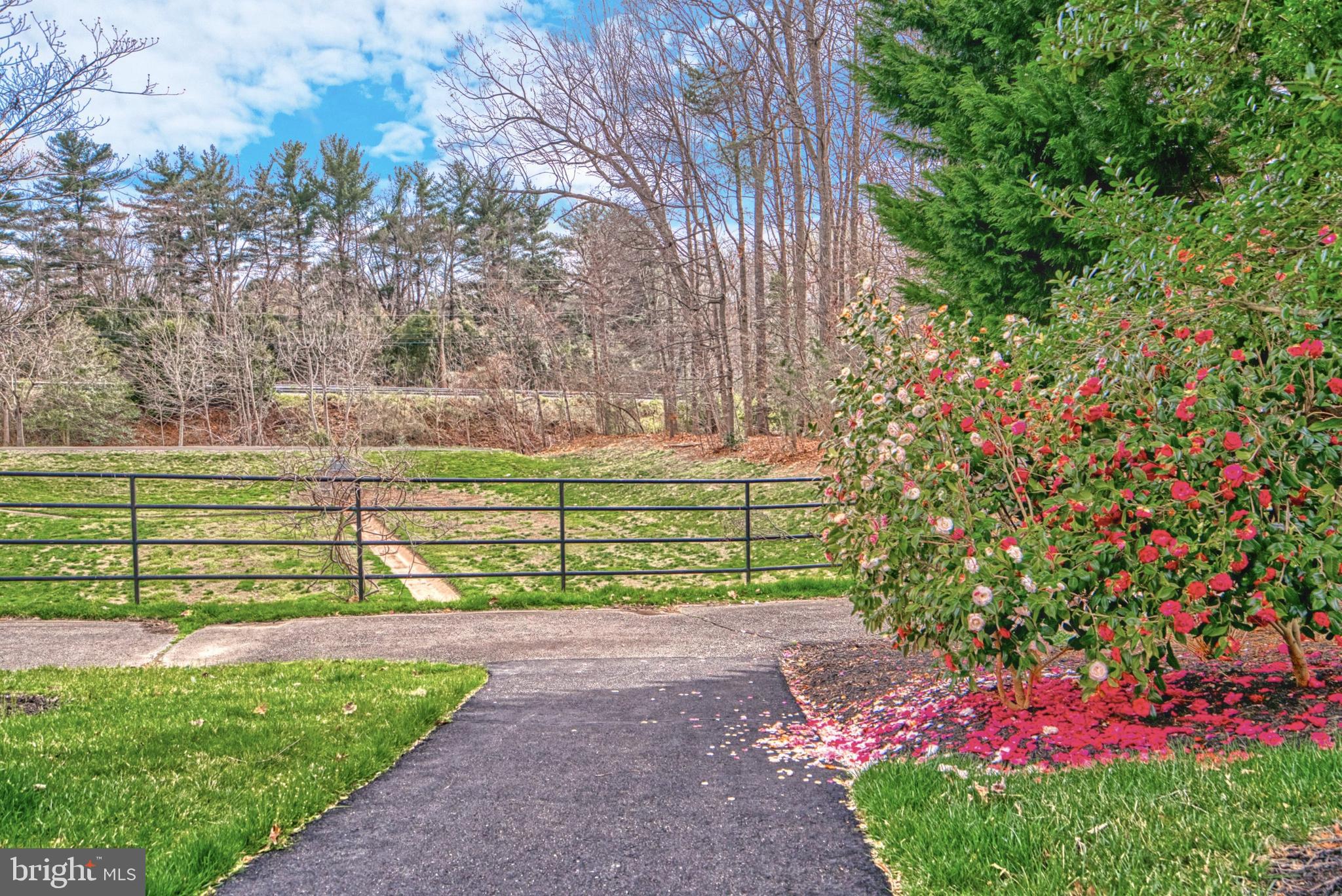 ONE CAMERON PLACE - Residential