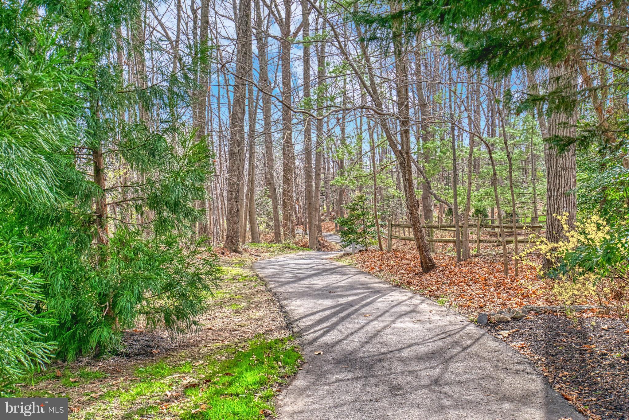 ONE CAMERON PLACE - Residential