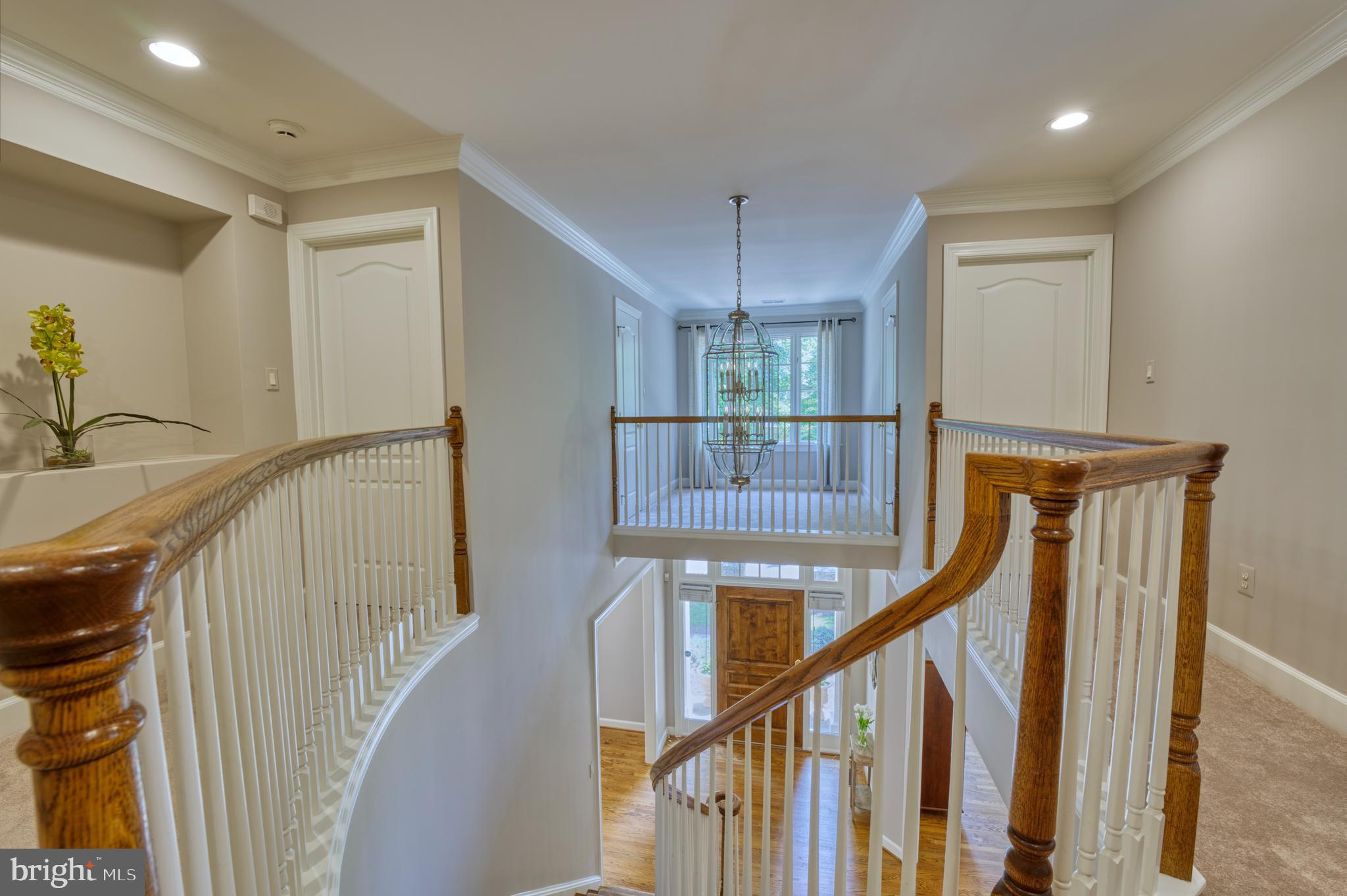 ONE CAMERON PLACE - Residential