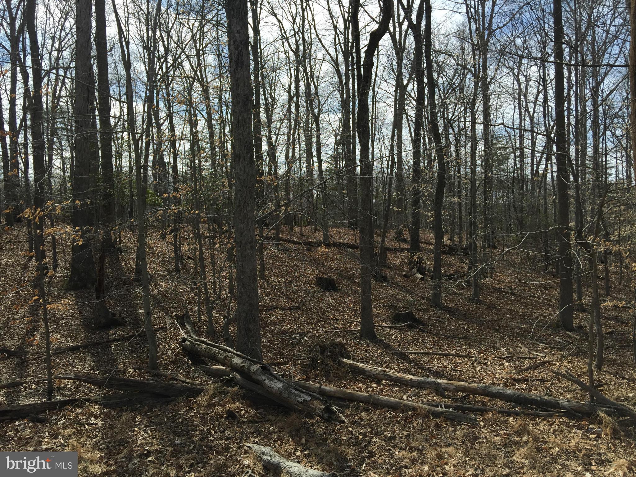 JERRY CAROTHERS PROPERTY - Land