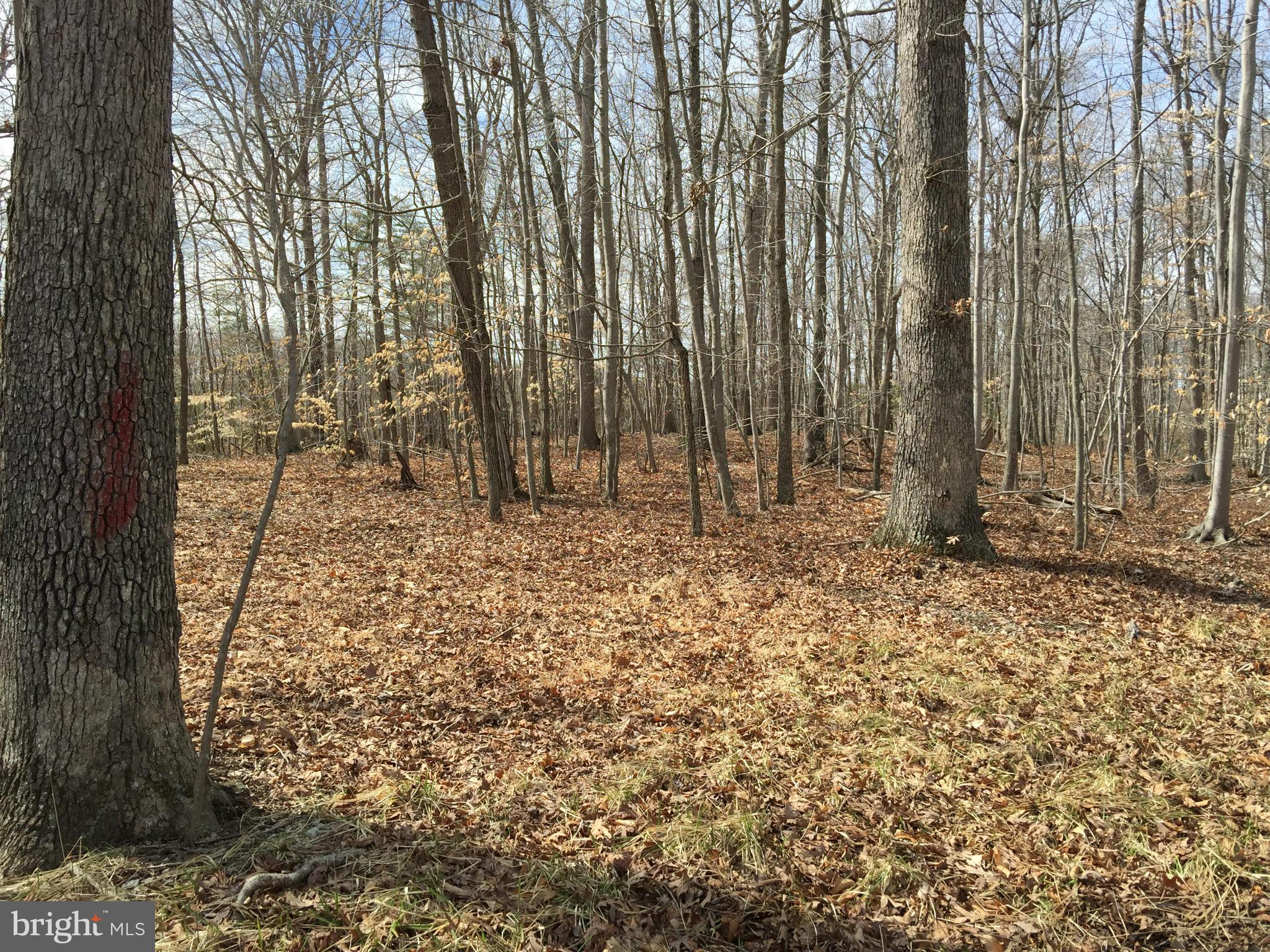 JERRY CAROTHERS PROPERTY - Land