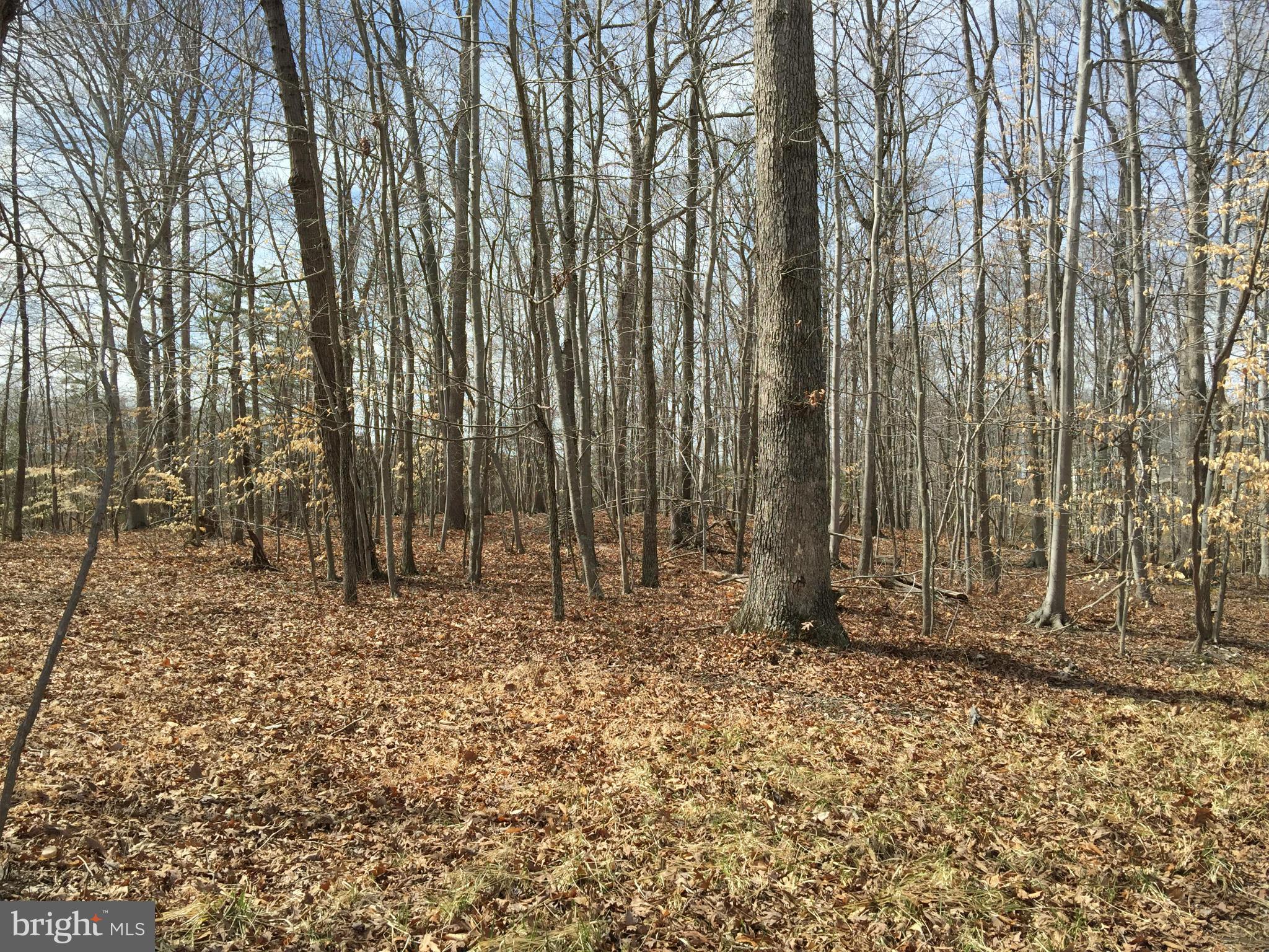 JERRY CAROTHERS PROPERTY - Land