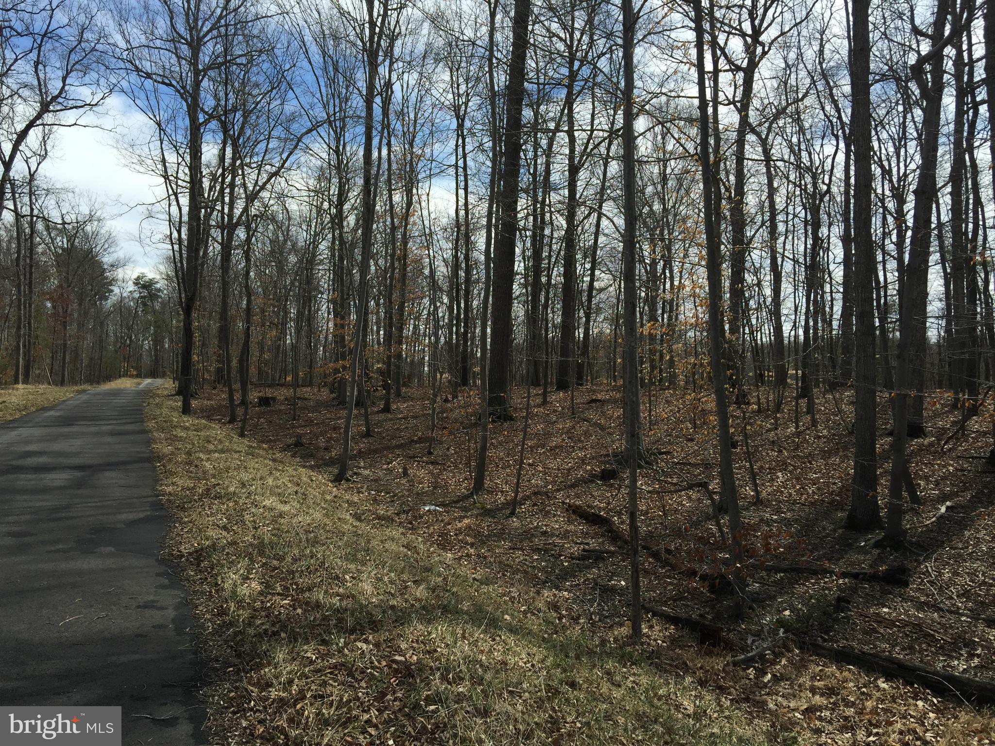 JERRY CAROTHERS PROPERTY - Land