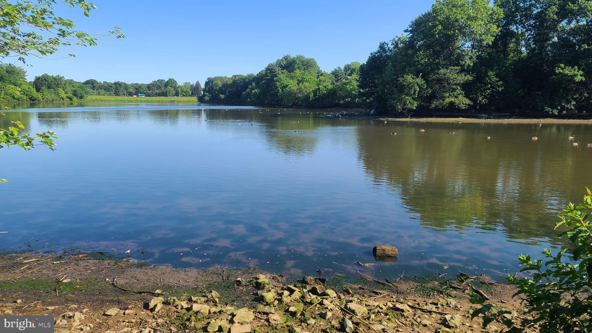DOCKSIDE - Residential