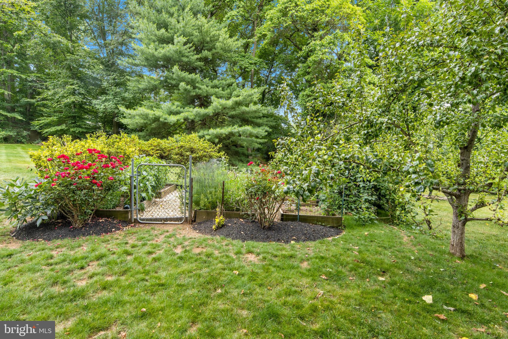 SHAND TRACT - Residential