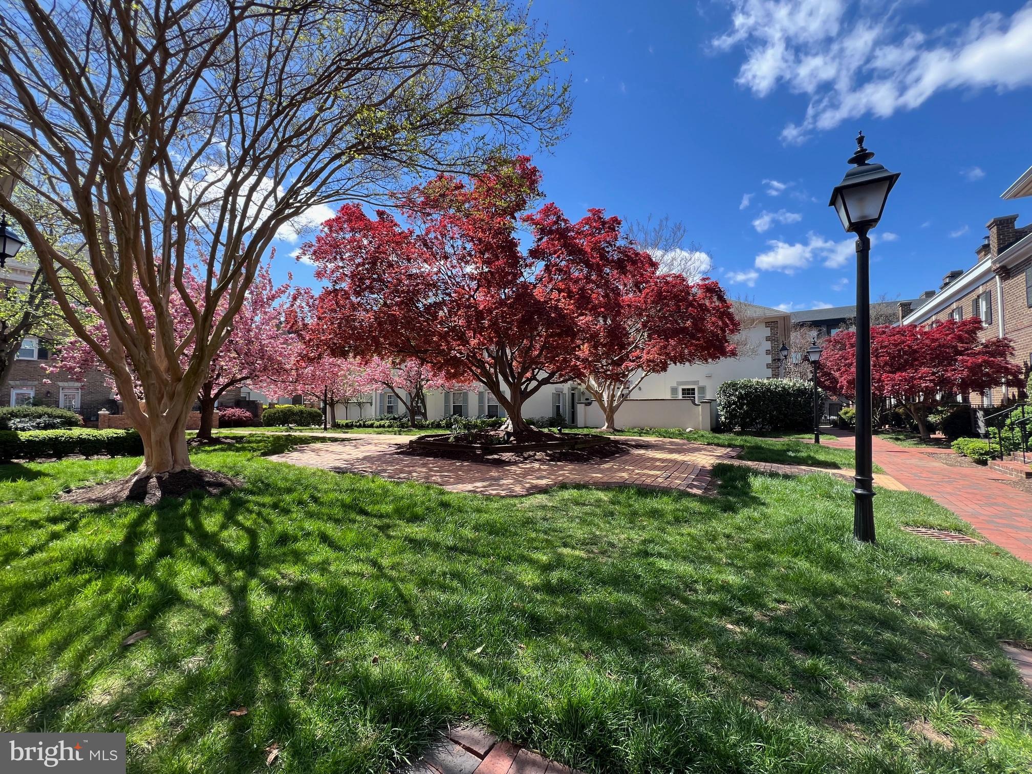 OLD TOWN ALEXANDRIA - Residential