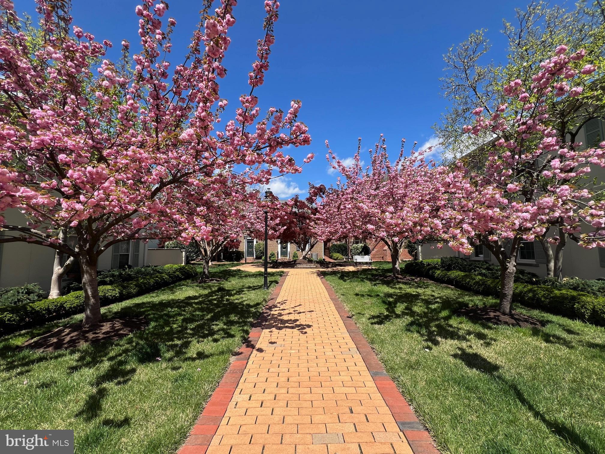 OLD TOWN ALEXANDRIA - Residential