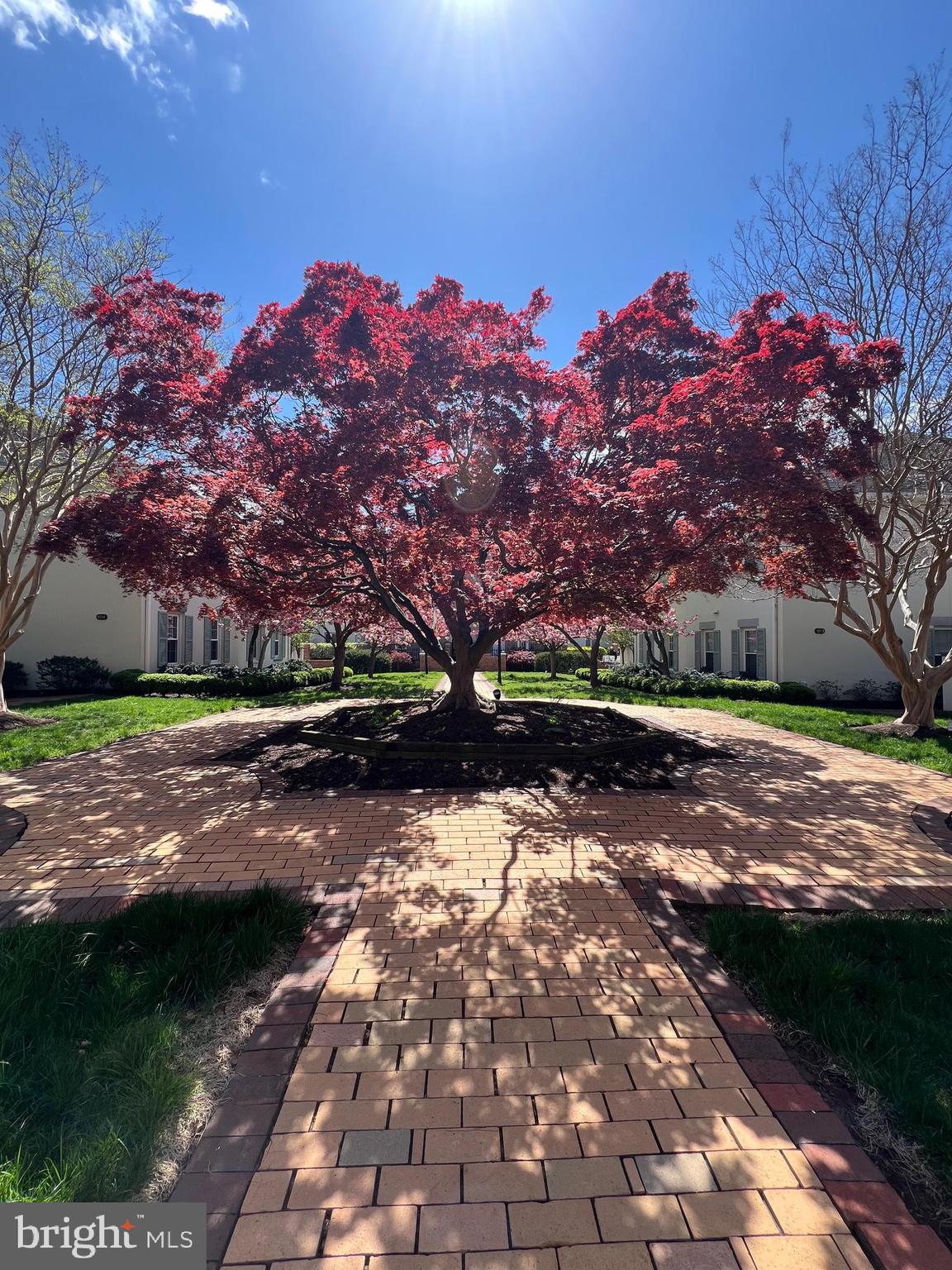 OLD TOWN ALEXANDRIA - Residential