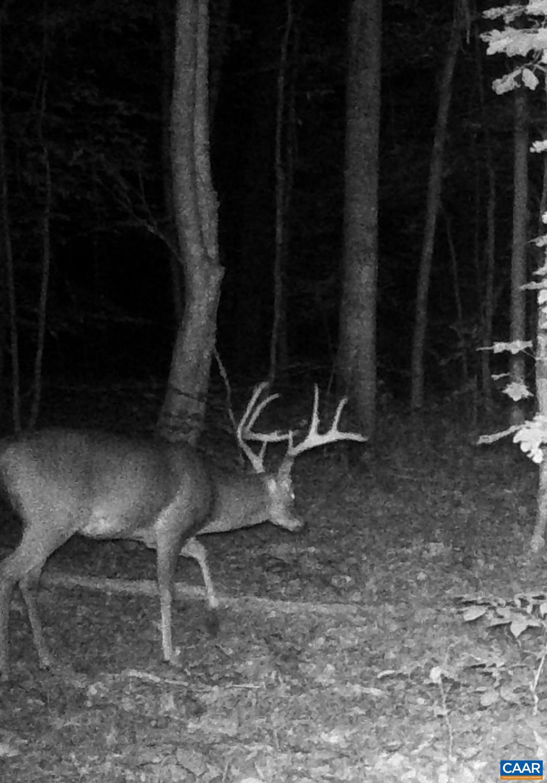 NONE AVAILABLE - Land