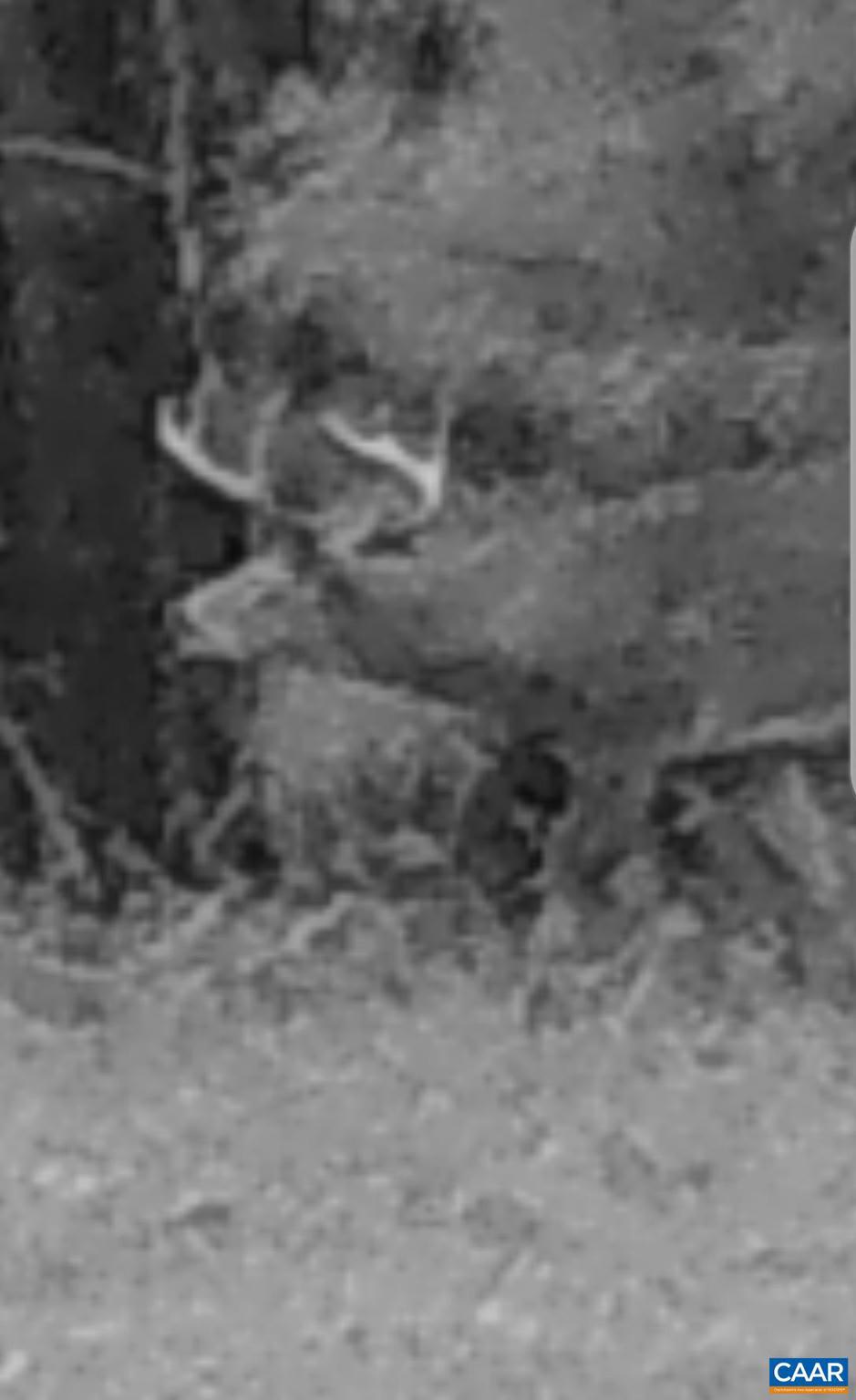 NONE AVAILABLE - Land