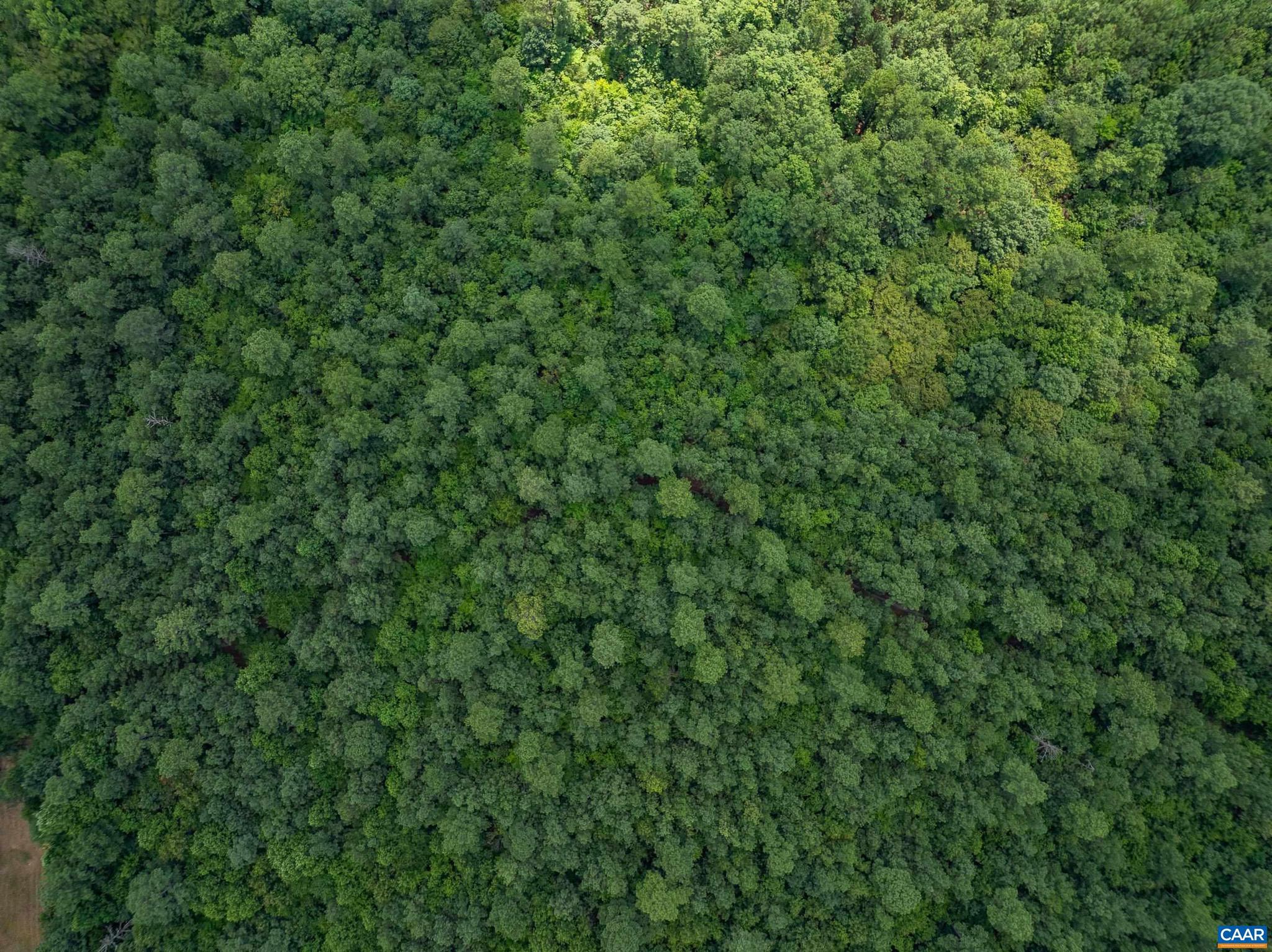 NONE AVAILABLE - Land