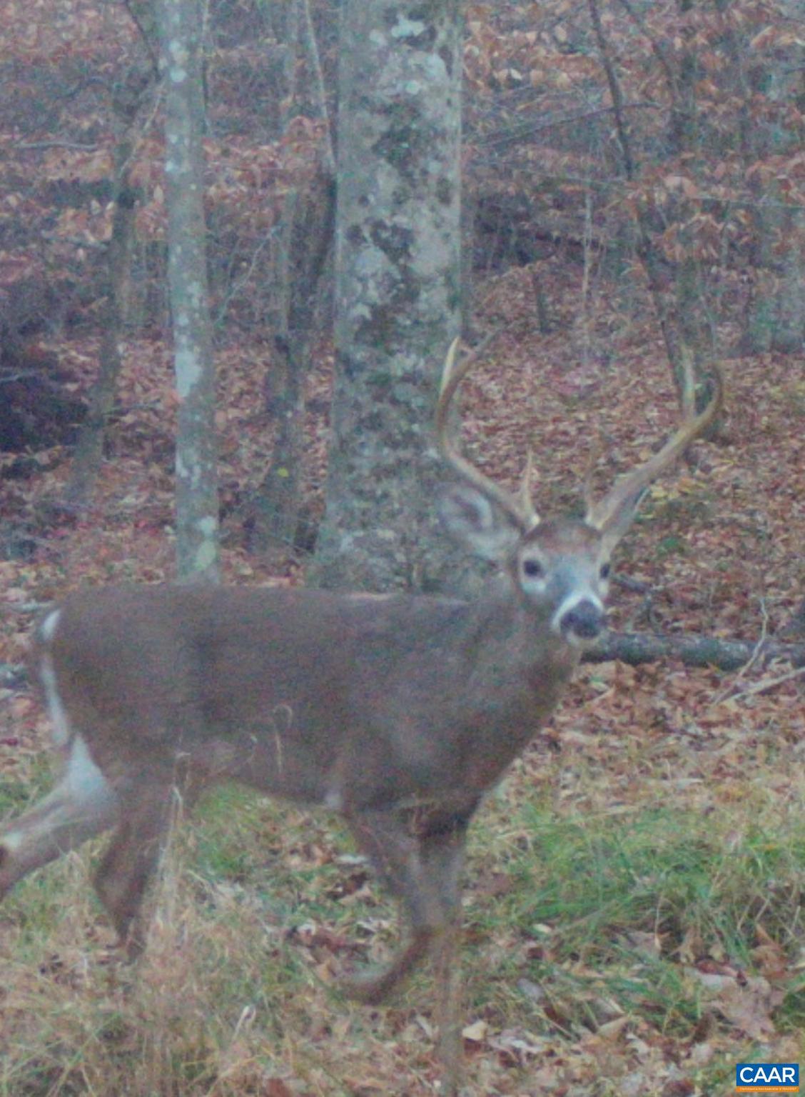 NONE AVAILABLE - Land