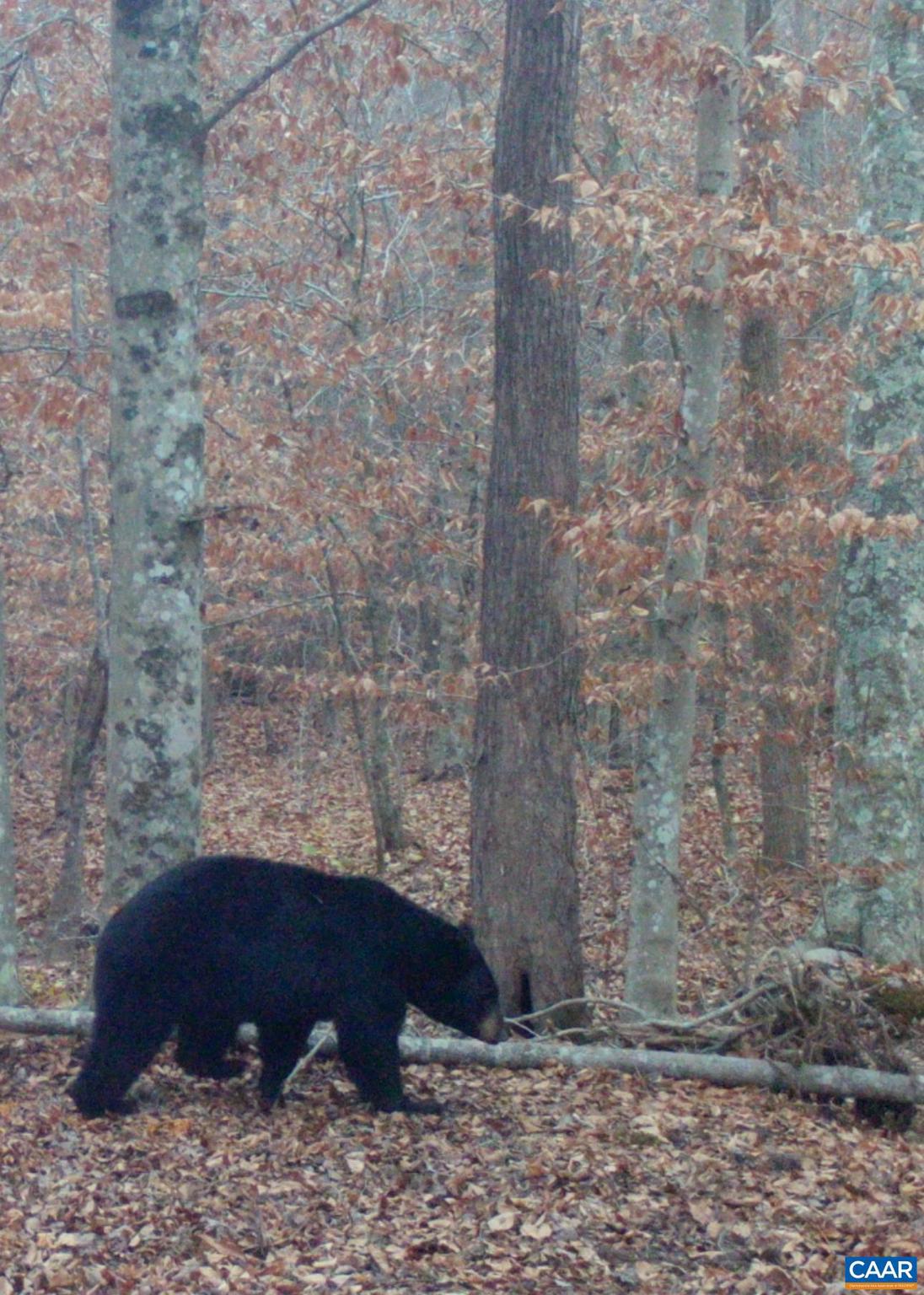 NONE AVAILABLE - Land