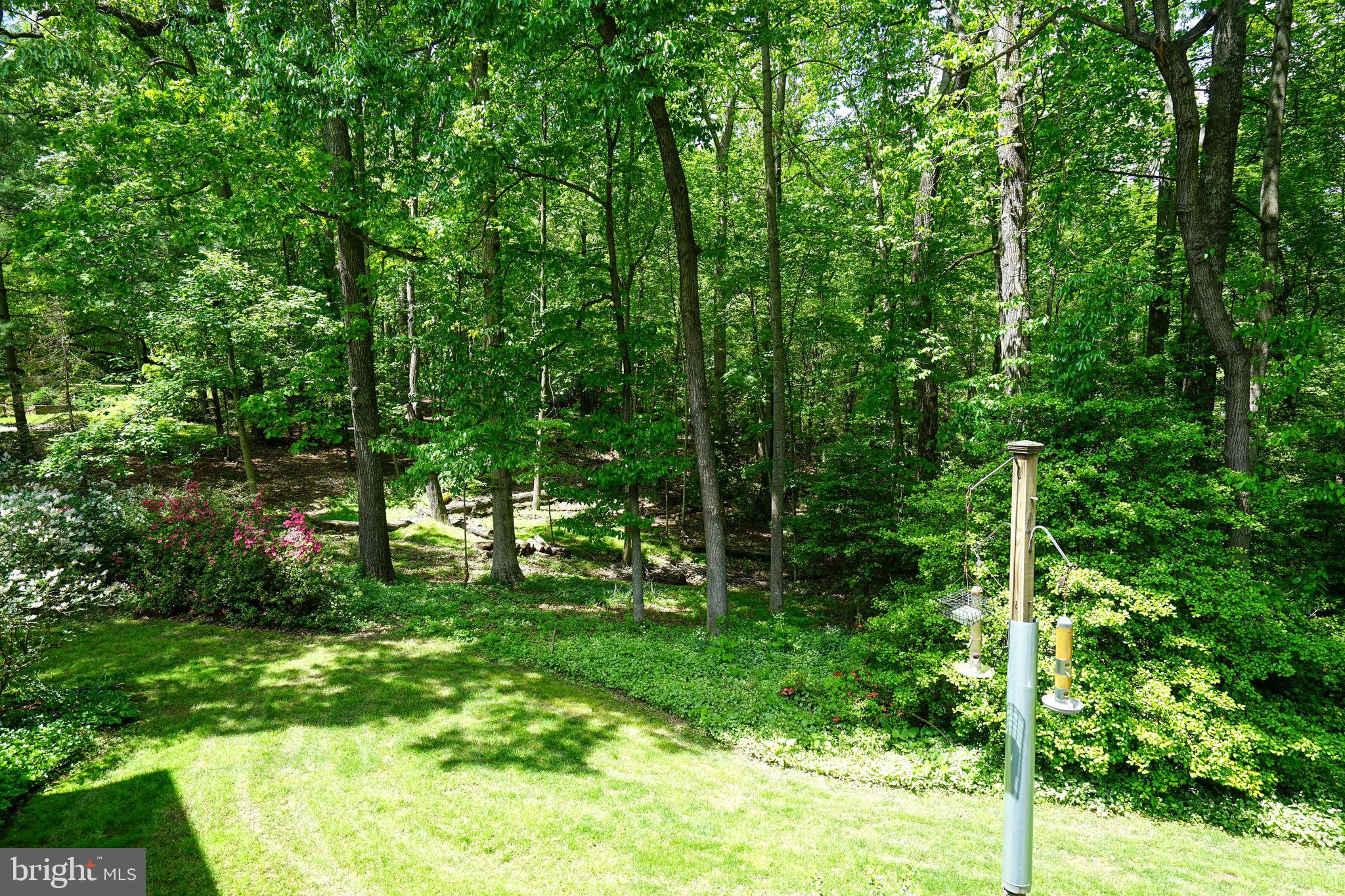 FOX HUNT ESTATES - Residential