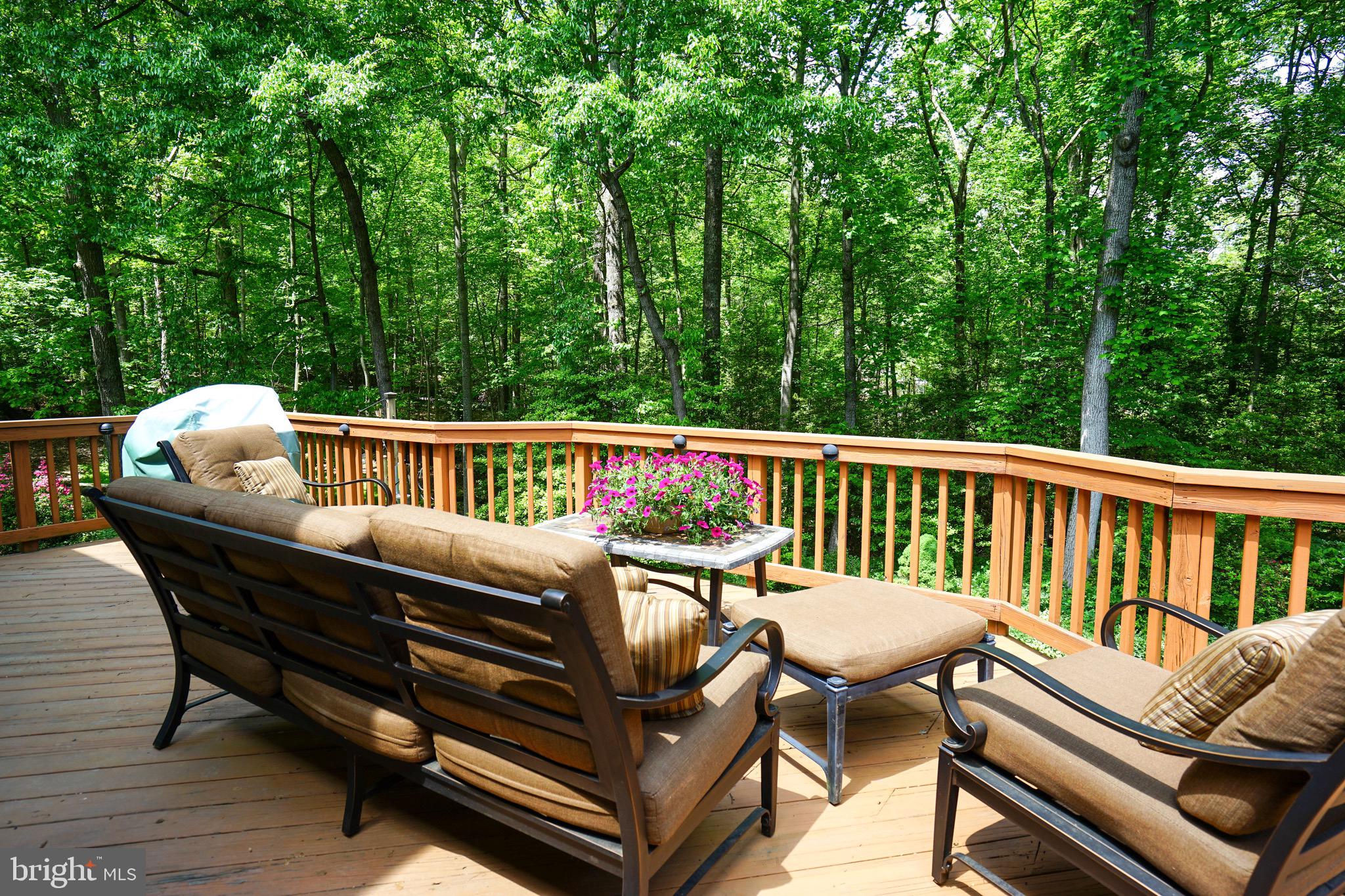 FOX HUNT ESTATES - Residential