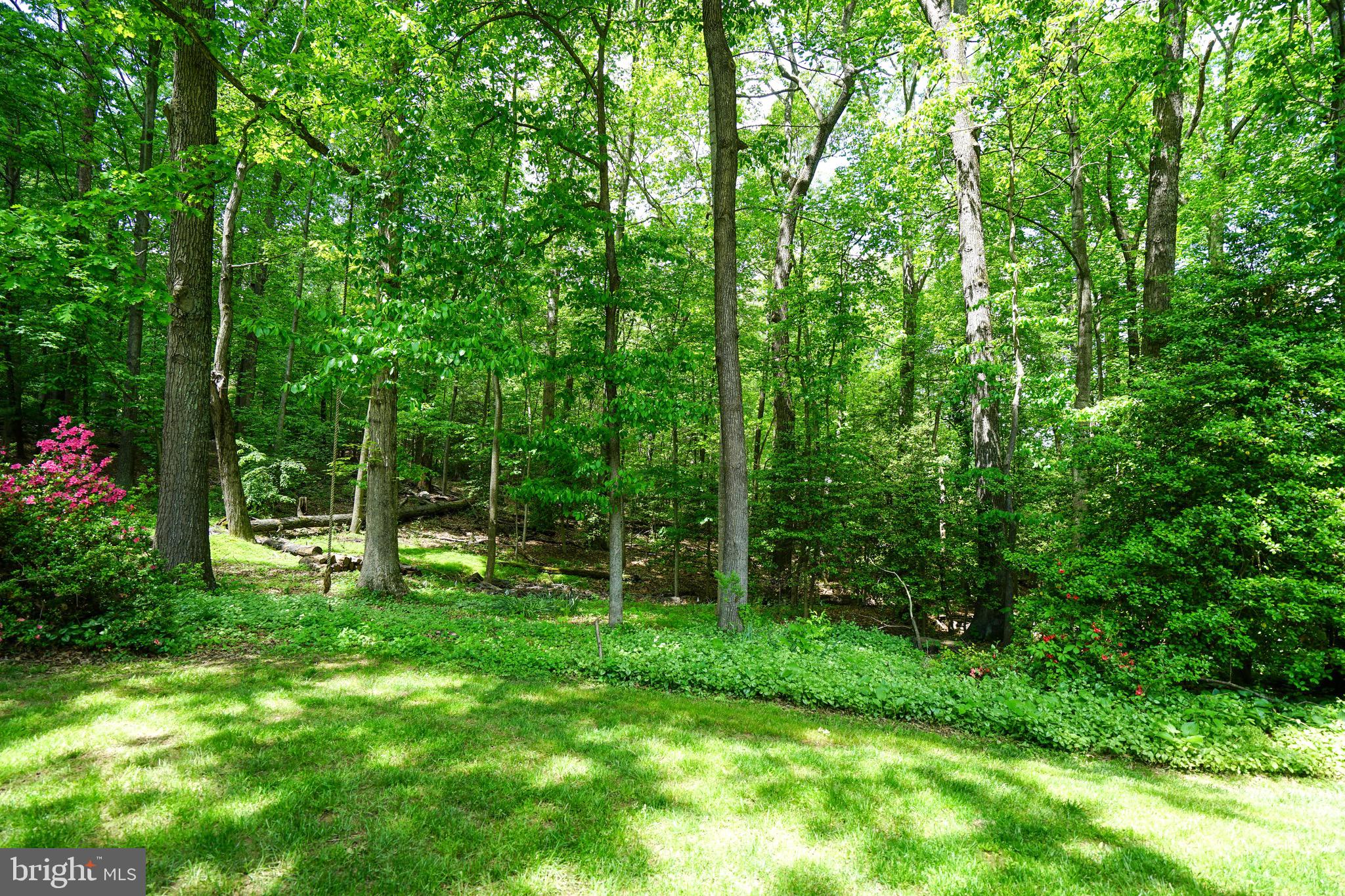 FOX HUNT ESTATES - Residential